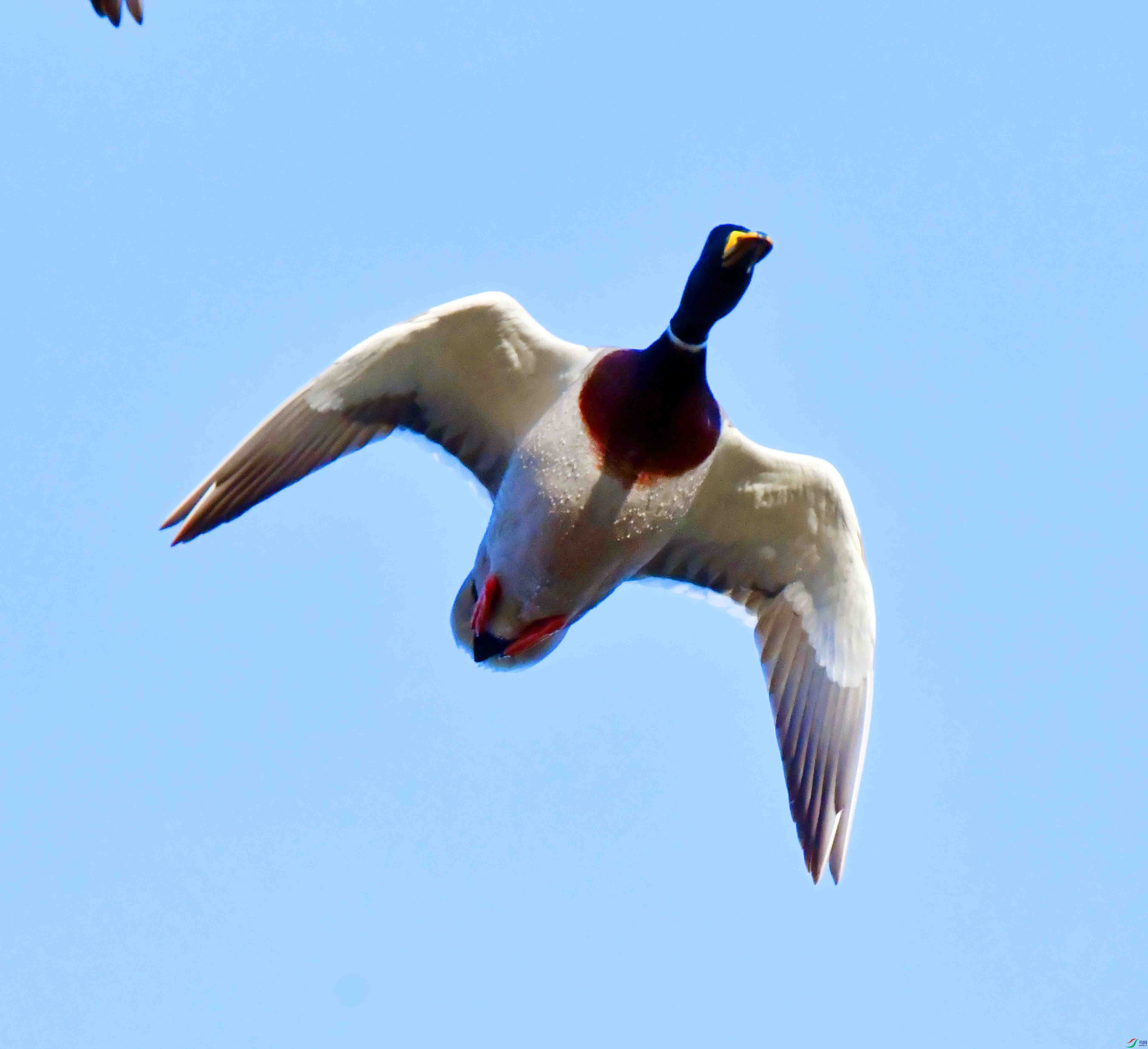 DSC_9786.JPG