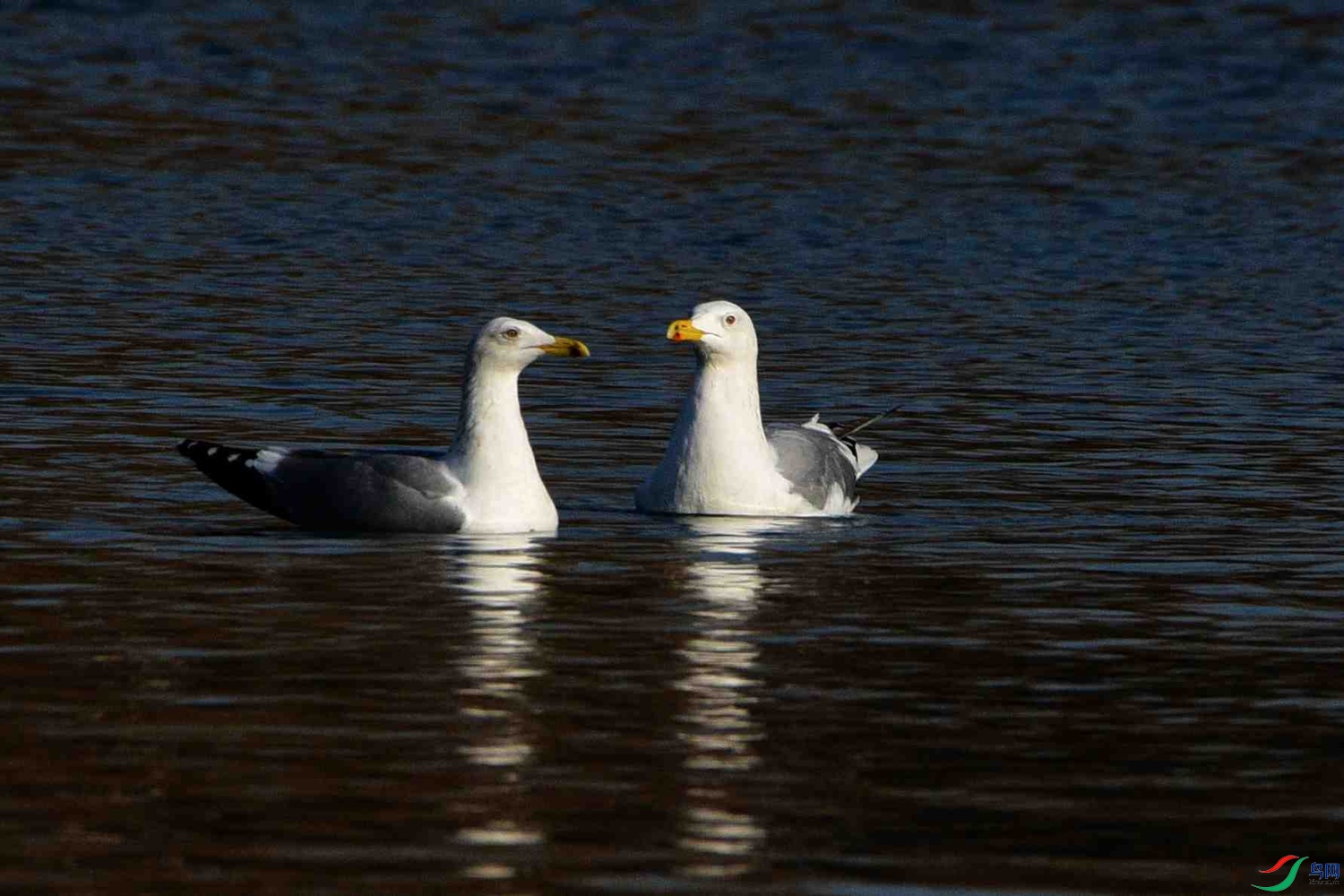 DSC_0211.JPG