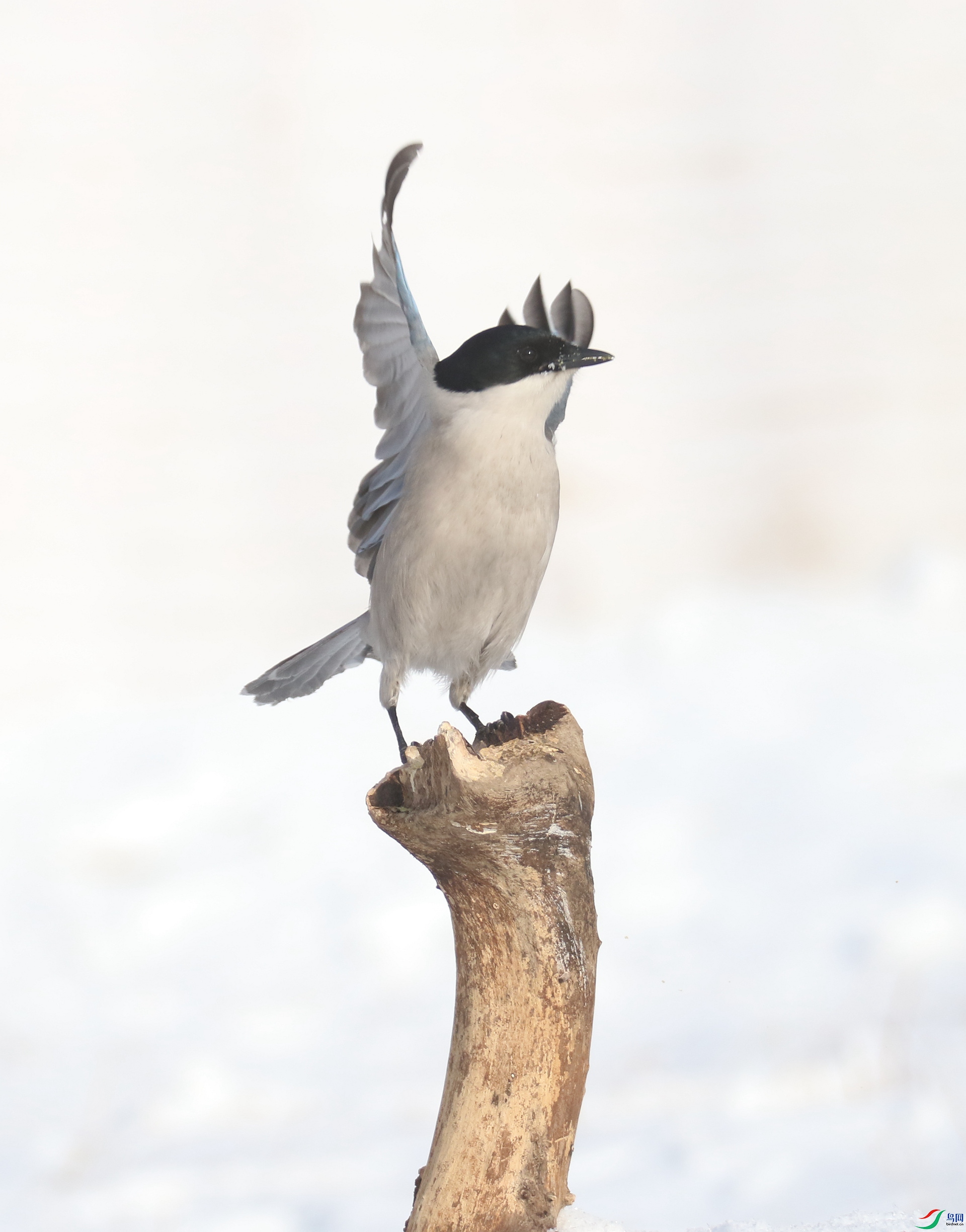 0G1A6241 ����.jpg