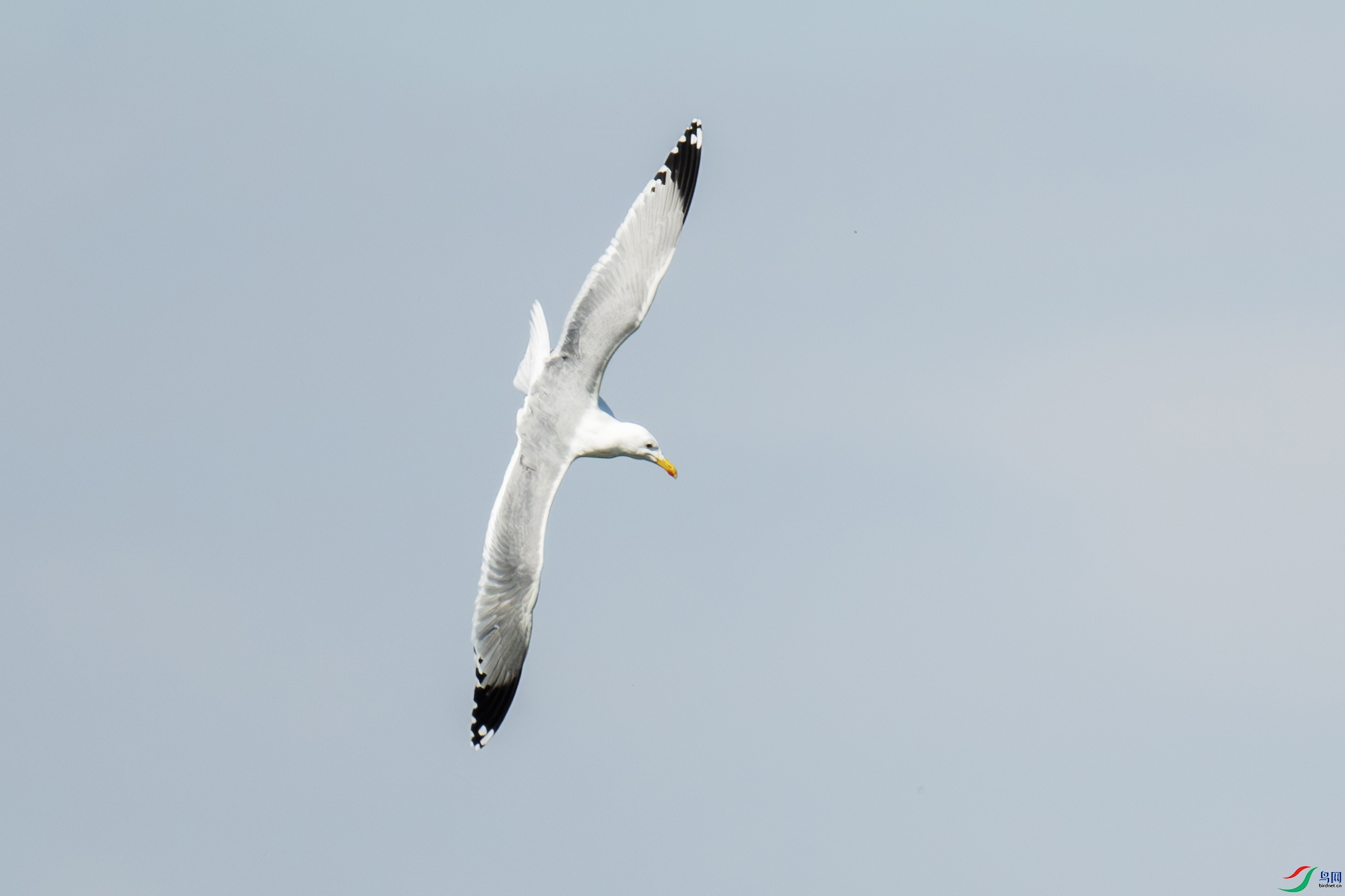 DSC_7209 ����.jpg