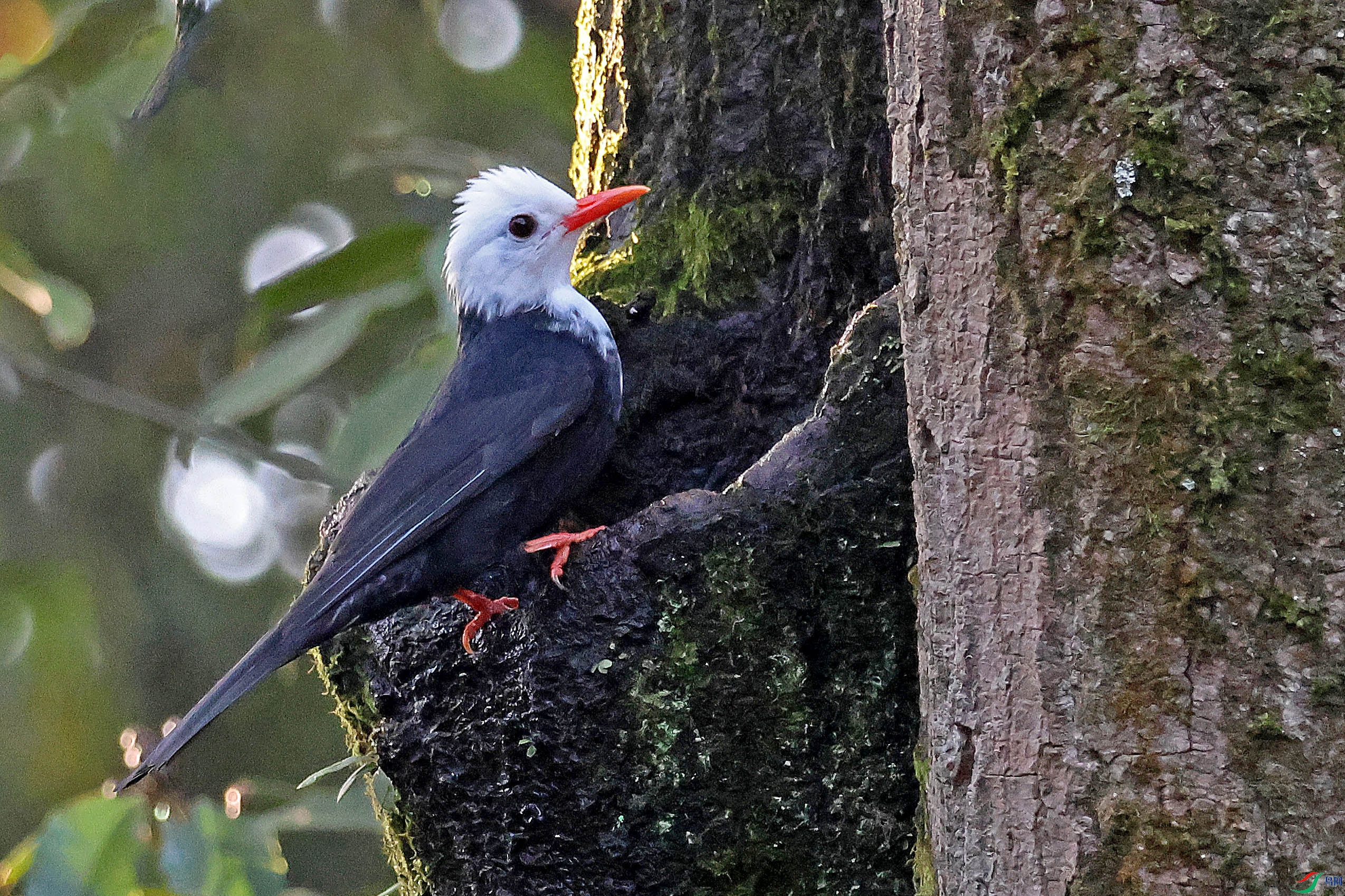 2G9A7870.JPG