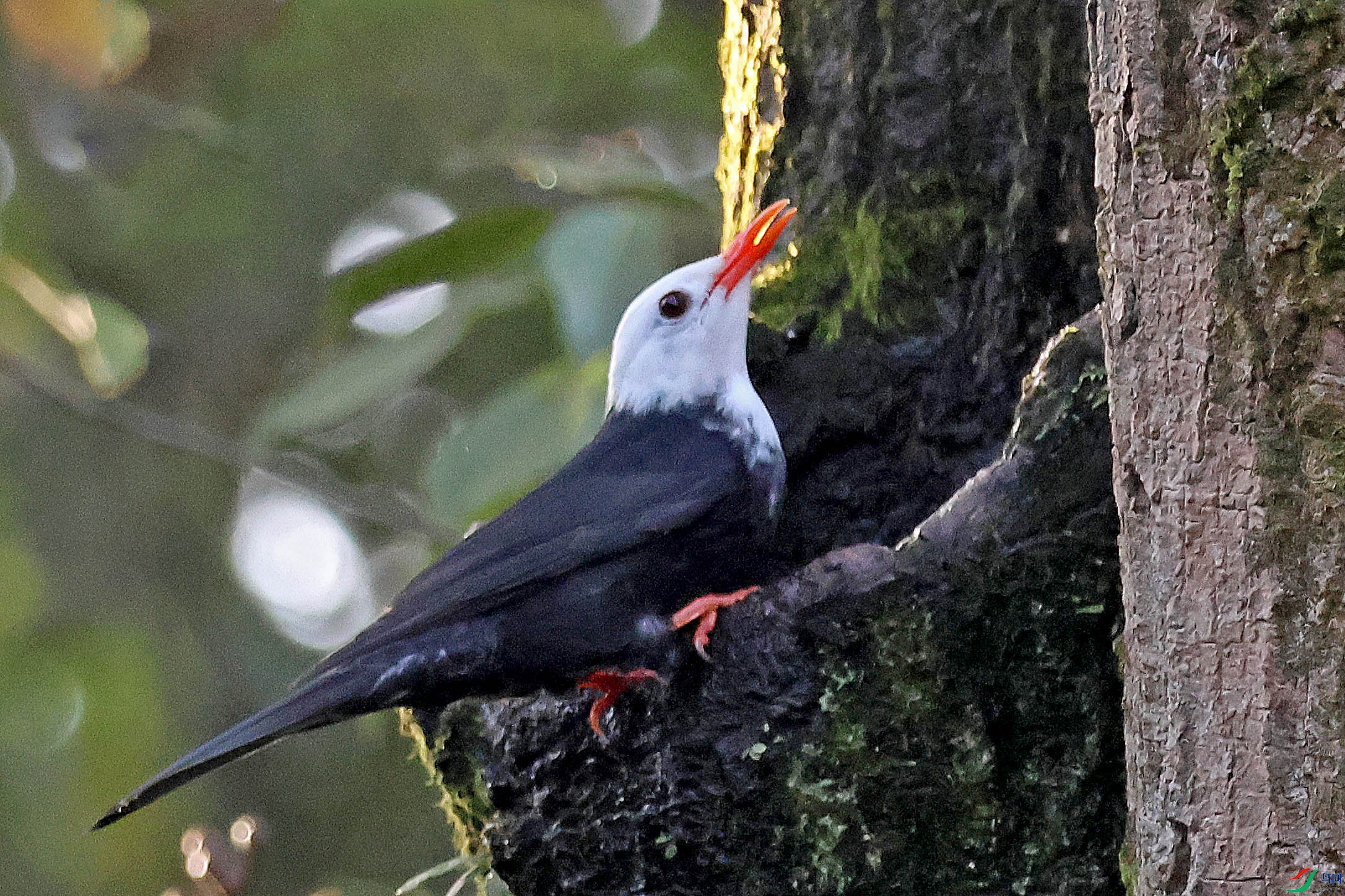 2G9A7879.JPG
