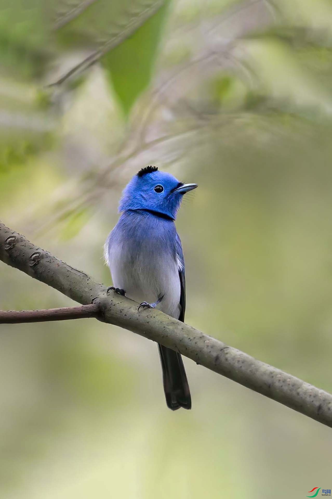 �������l