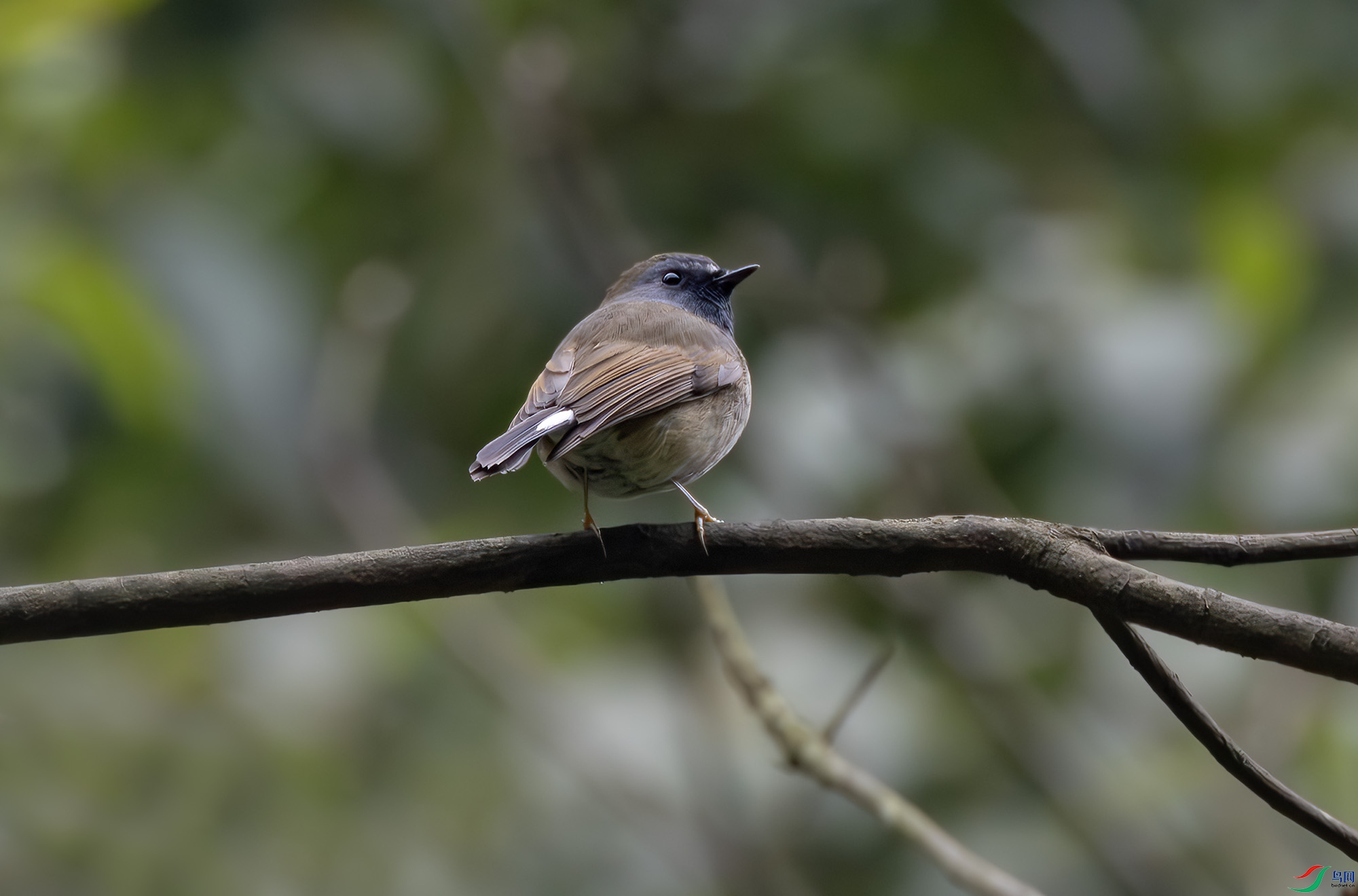 2I1A4171-����ǿ-NR ����.jpg