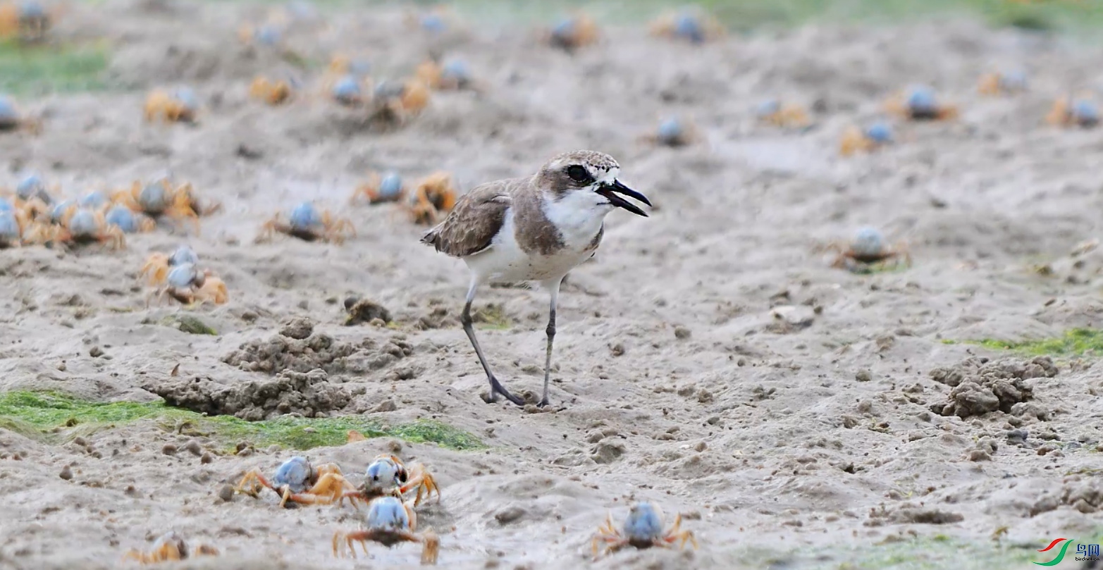 {E4924C85-BA32-4050-9D4E-5C50A9CC992D} ����.jpg