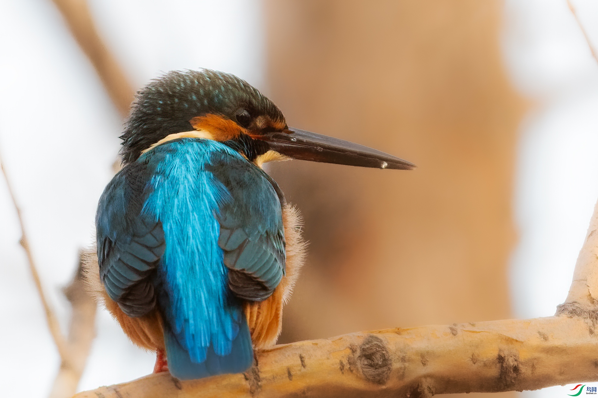 DSC_7545.jpg