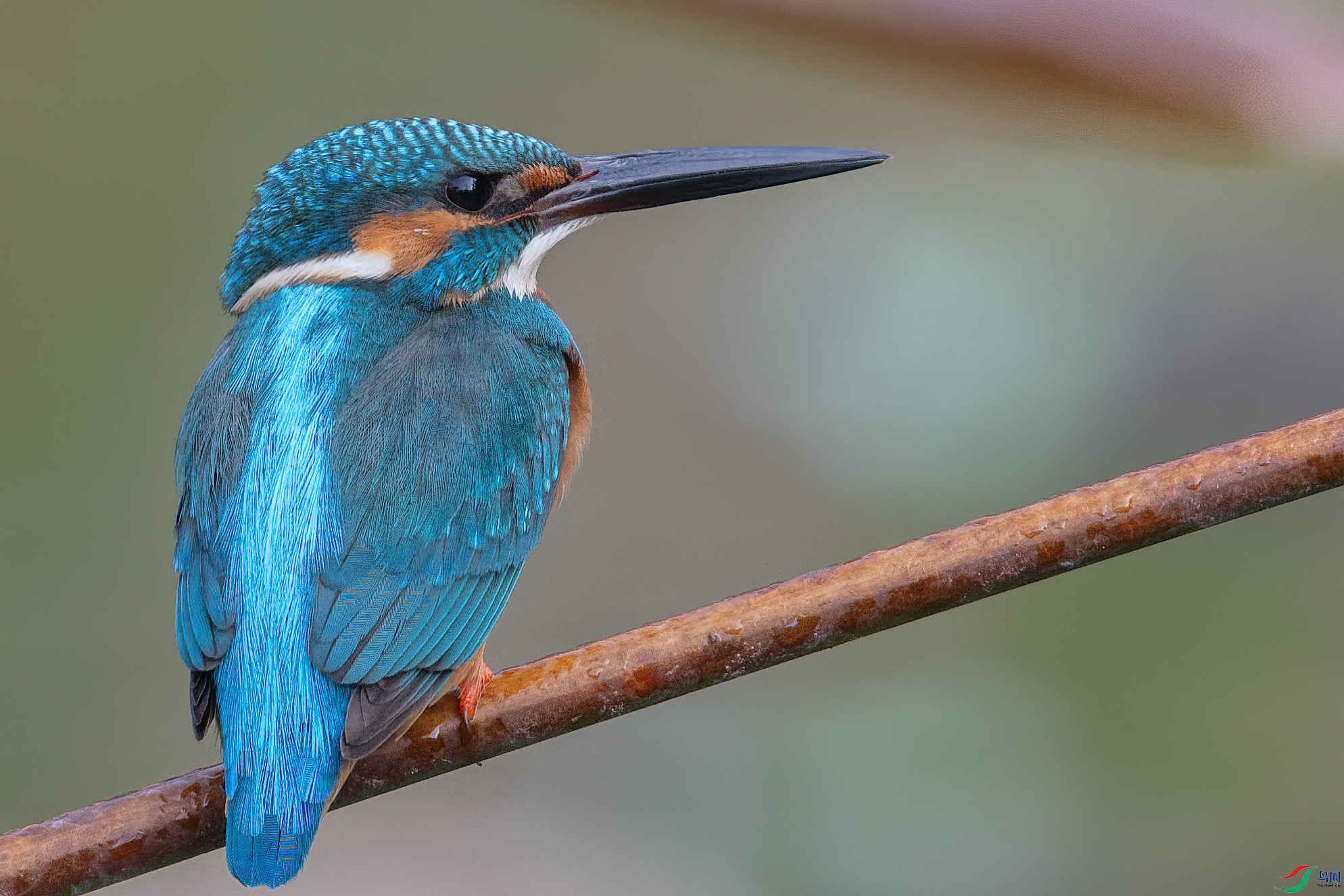DSC_3760.jpg
