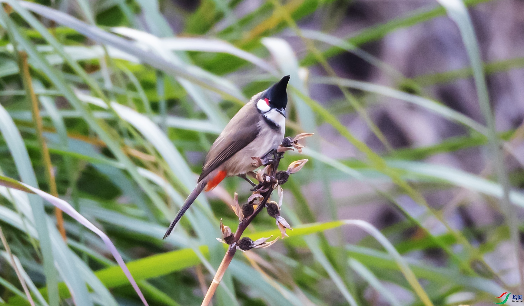 �����29 ����.jpg