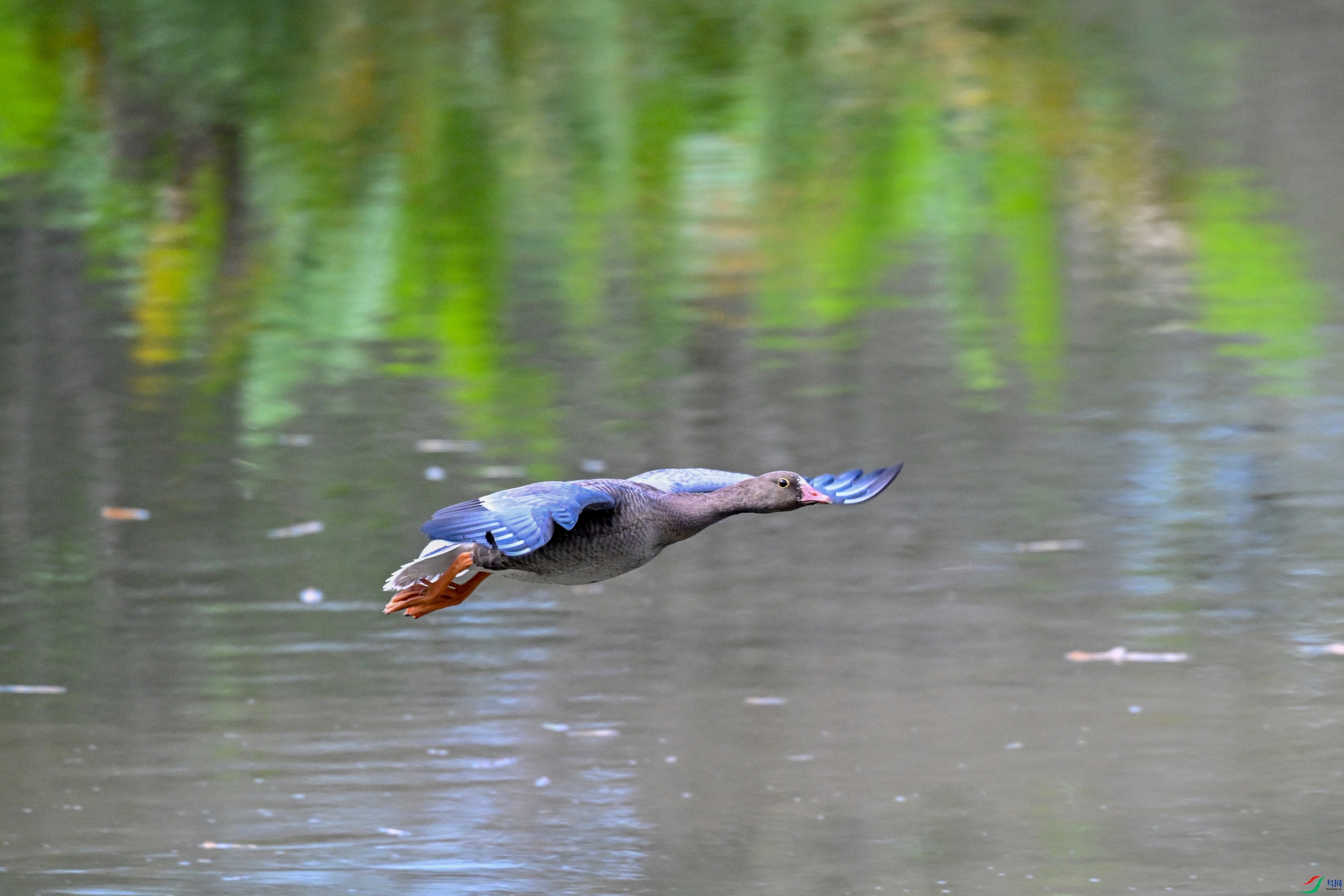 DSC_5432.JPG