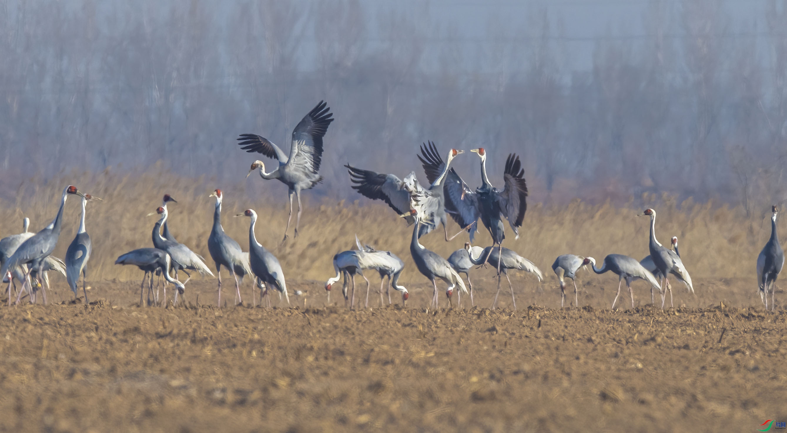 DSC_5900 ����-B.jpg