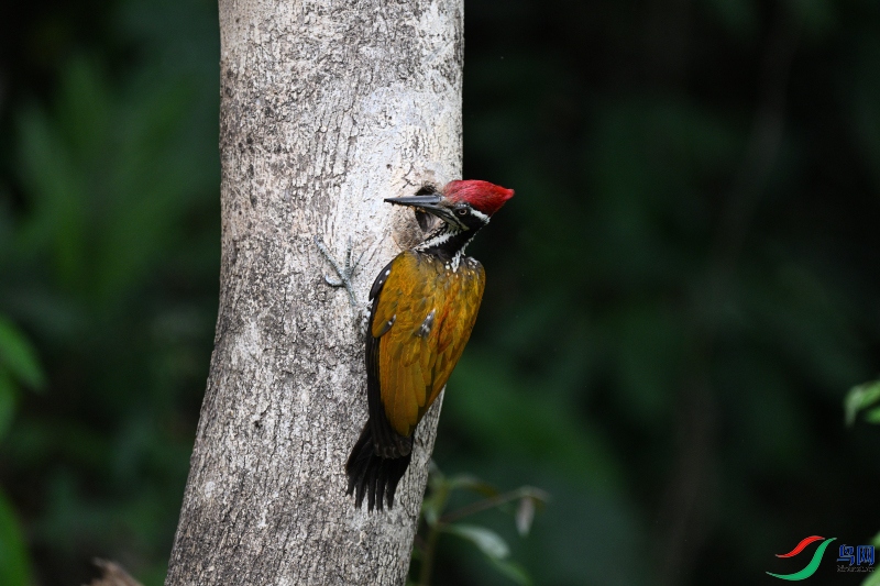 DSC_8451.JPG