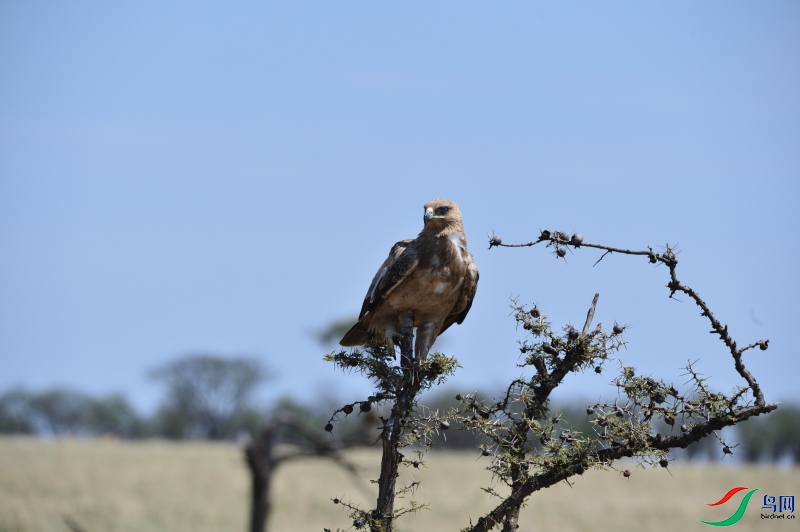 DSC_5388.JPG