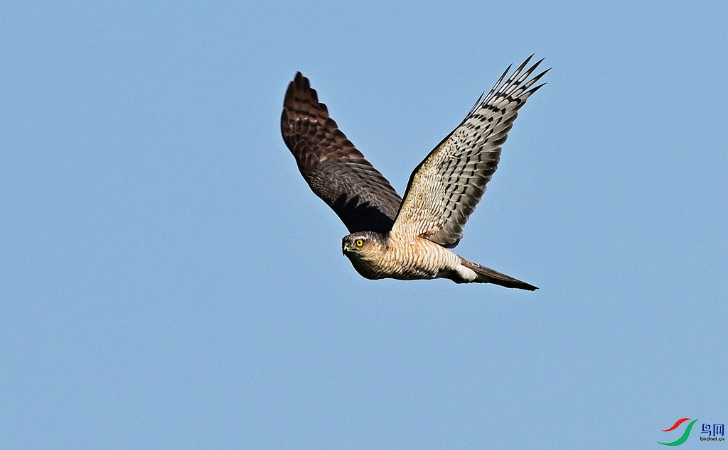 DSC_4456.JPG