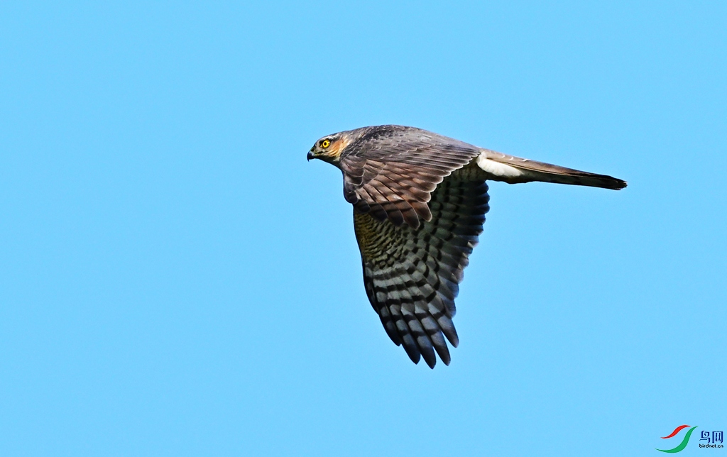 DSC_4470.JPG