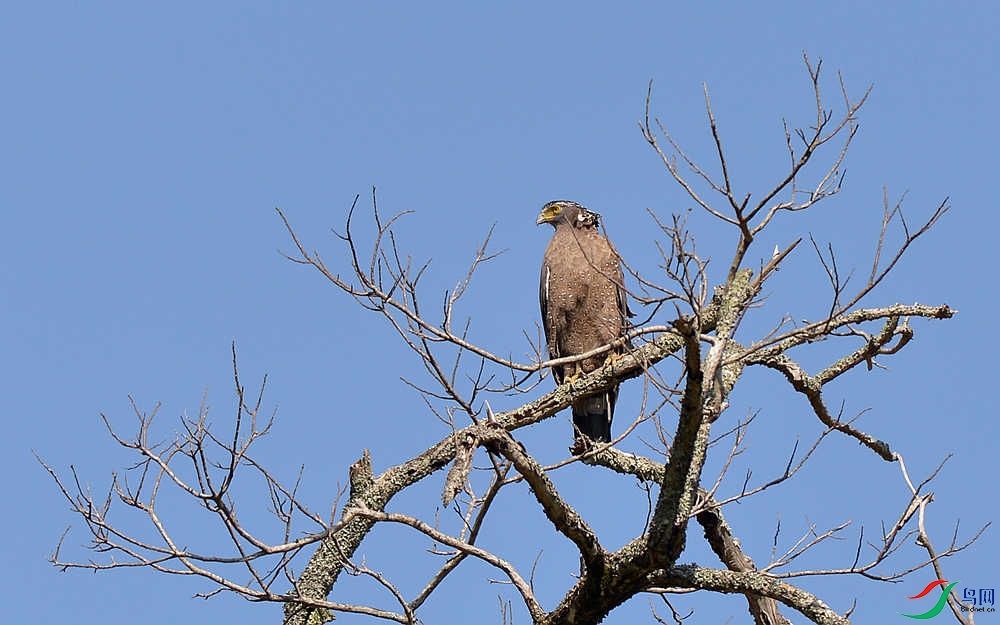 DSC_4000.JPG