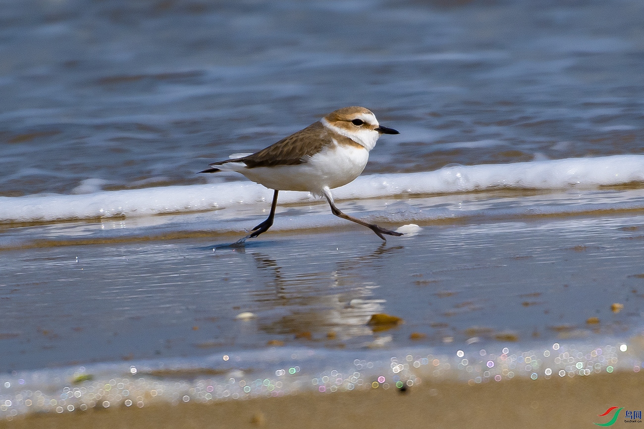 DSC_0982---.jpg