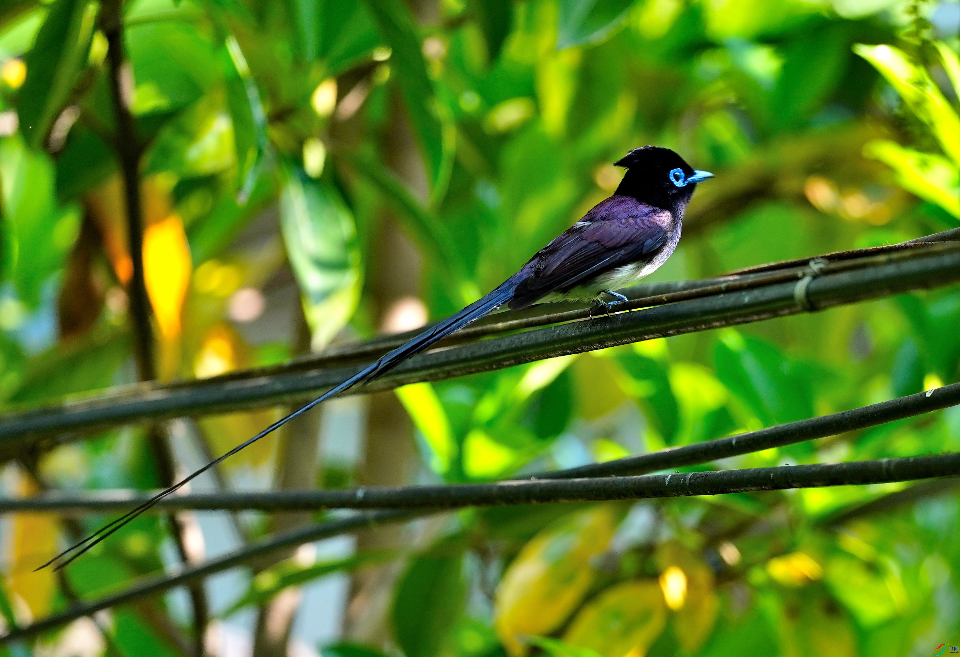 DSC01874-2023-5-12.JPG