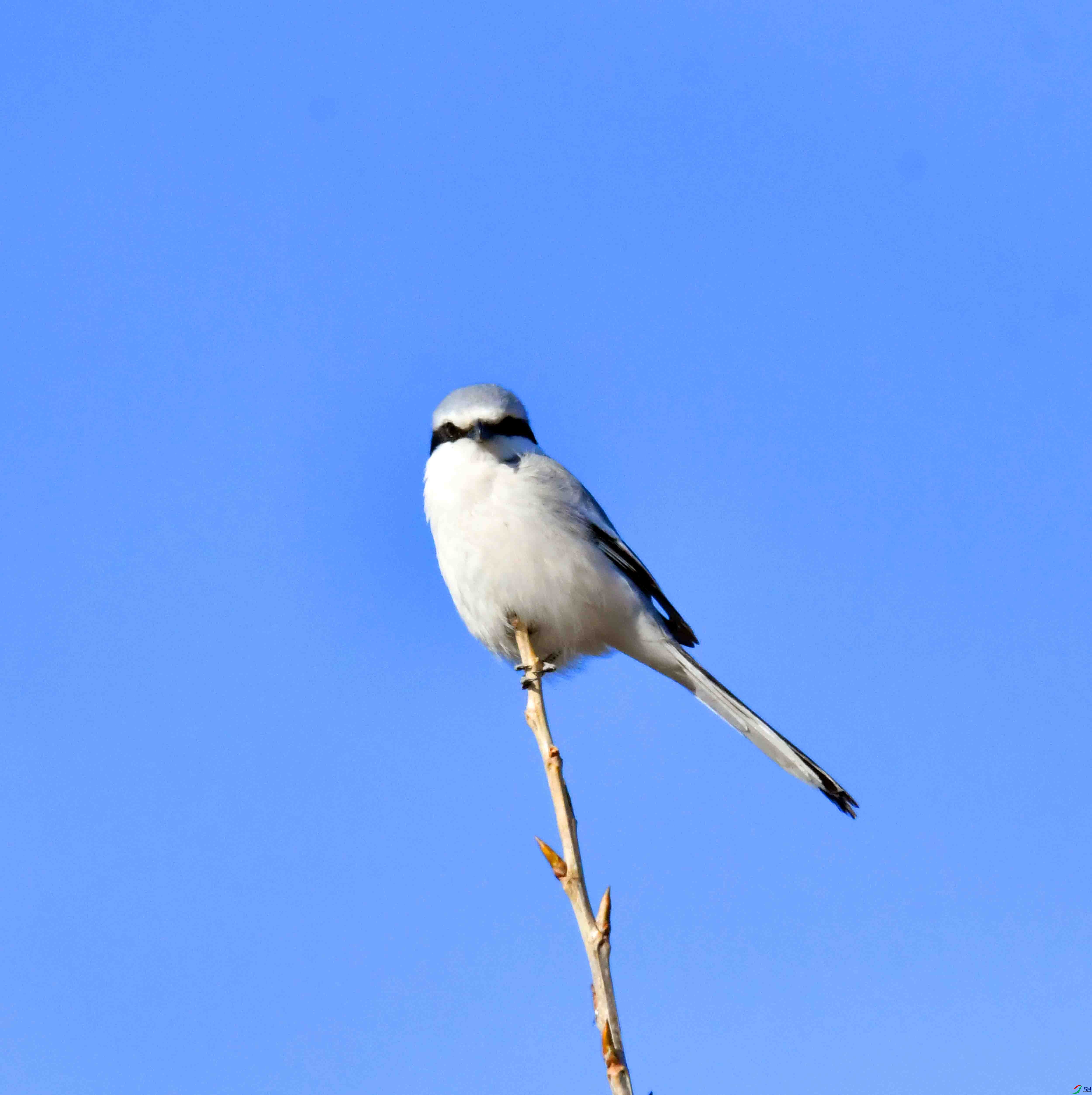 DSC_5458.JPG