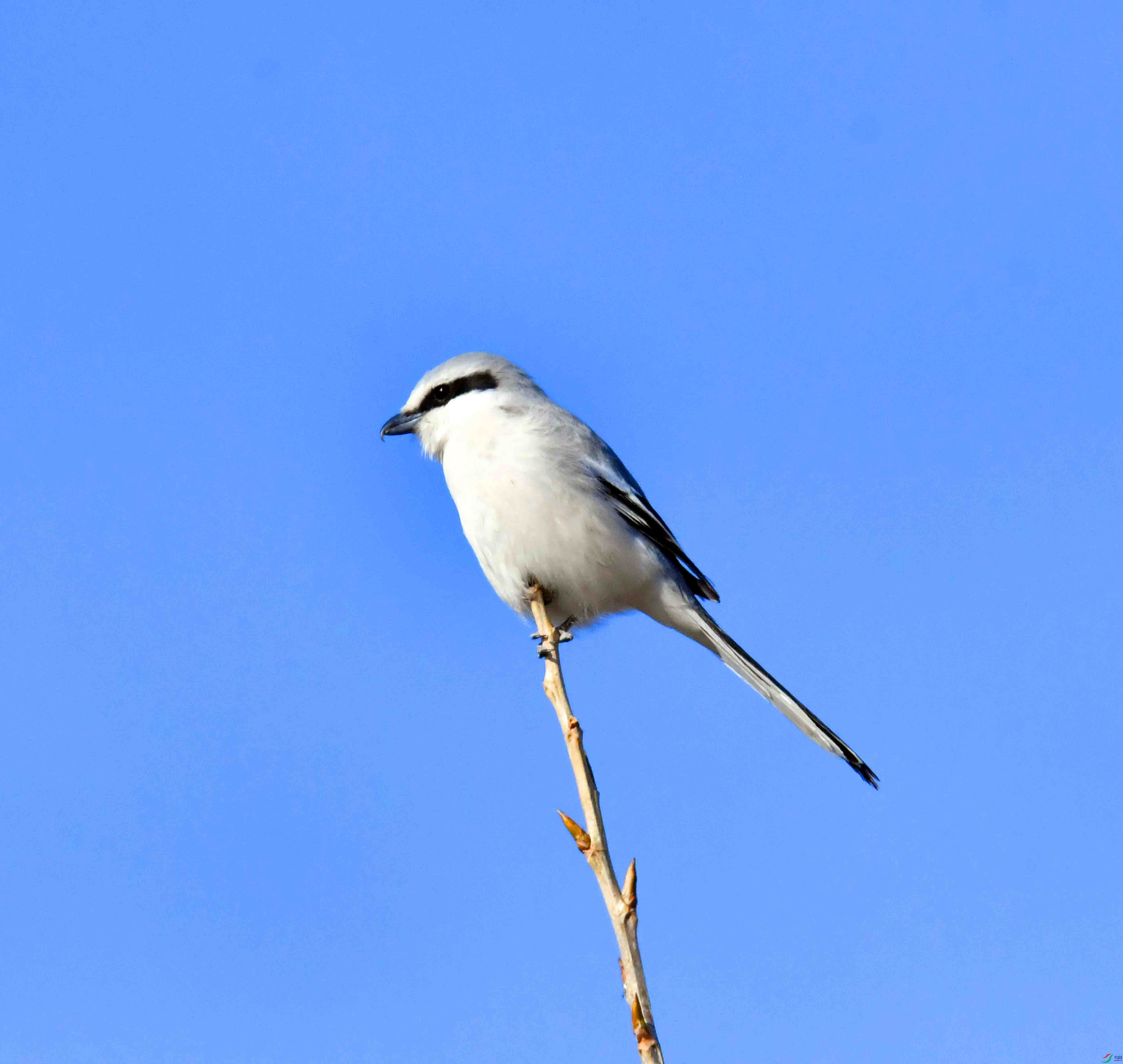 DSC_5457.JPG