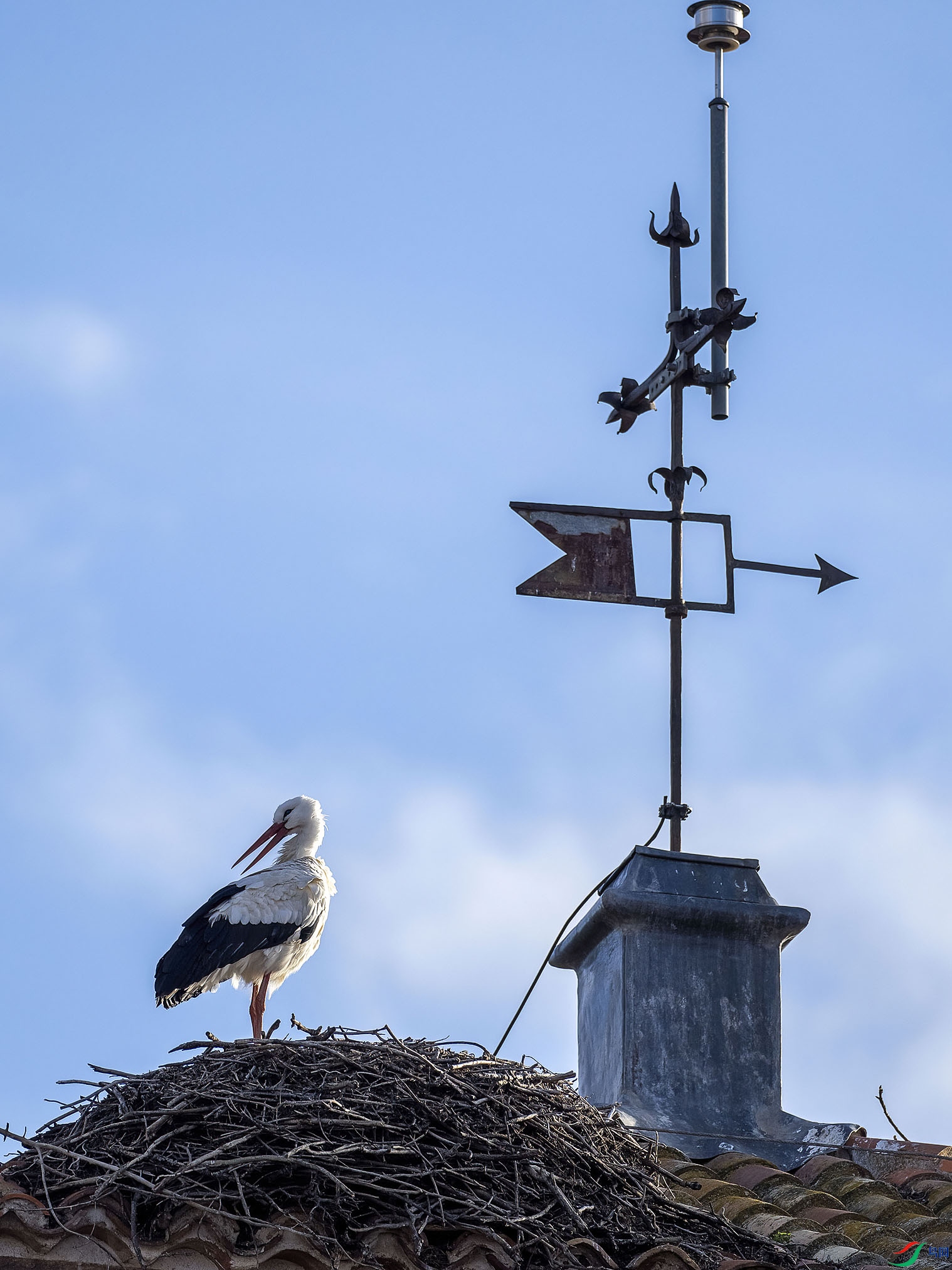 06 P1093555-DeNoiseAI-low-light.jpg