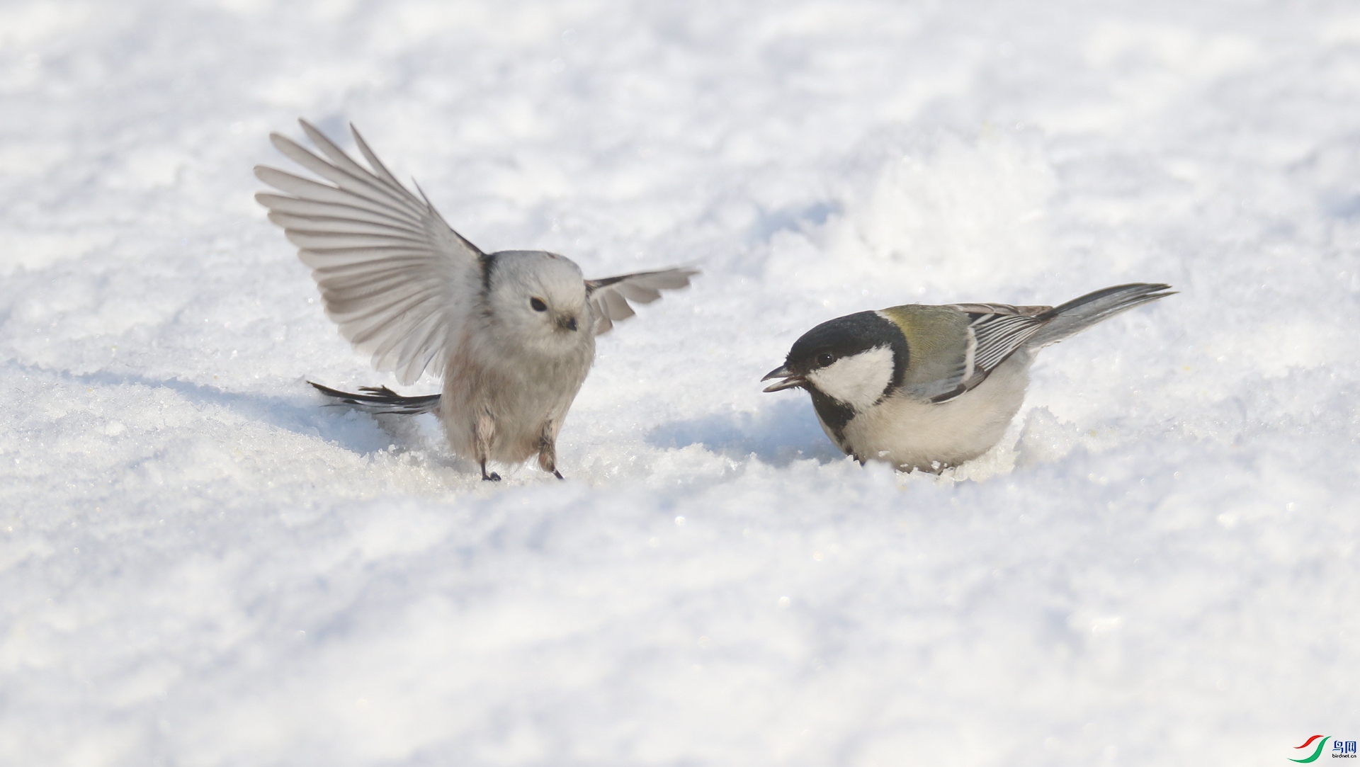 0G1A2852 ����.jpg