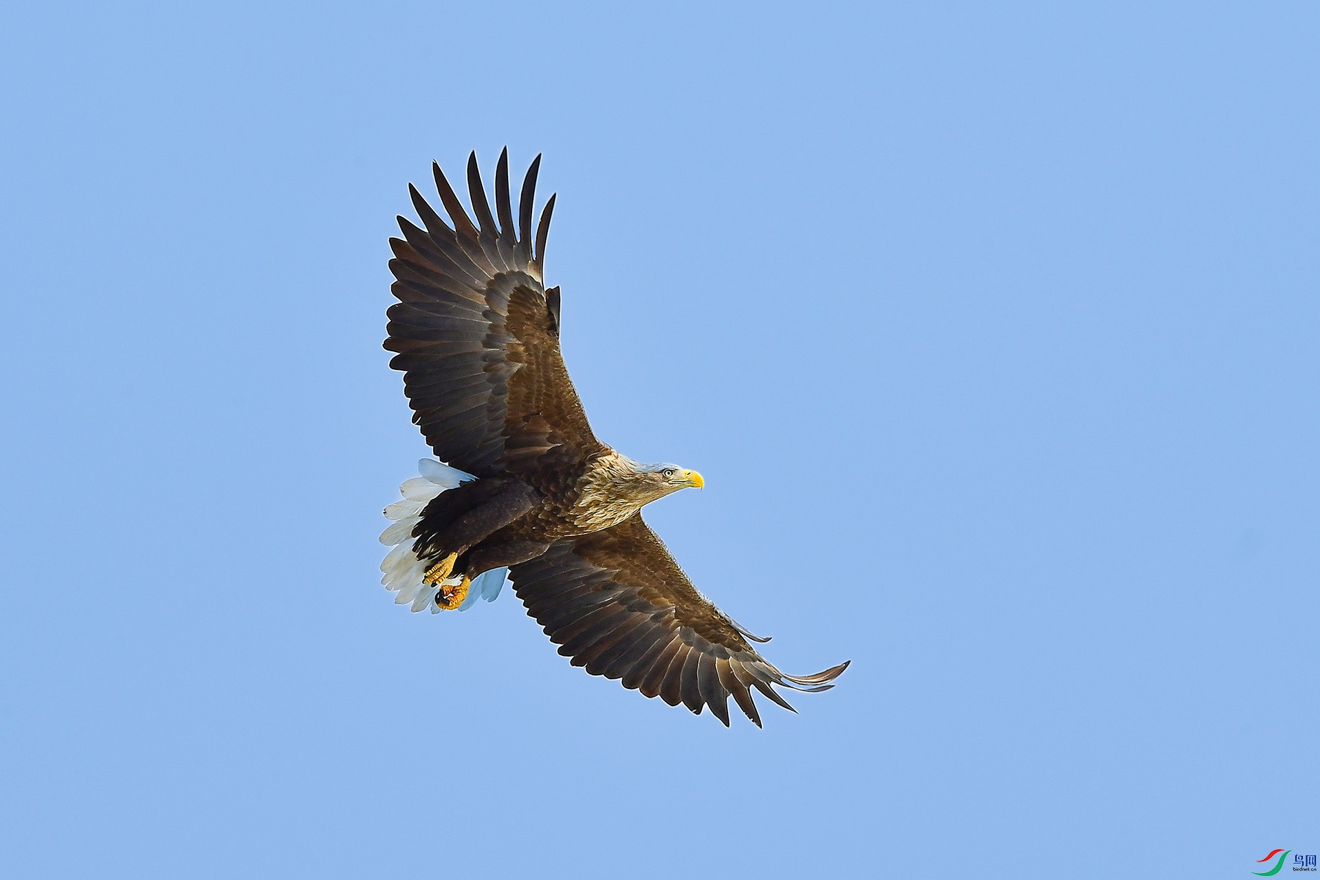 DSC_2727-1.jpg