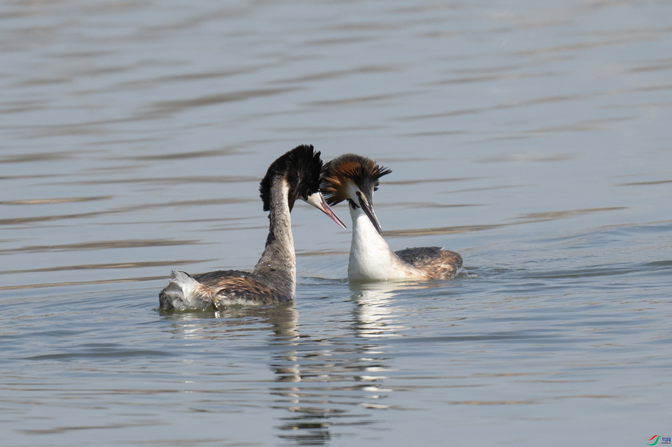 DSC_7289 ����.jpg