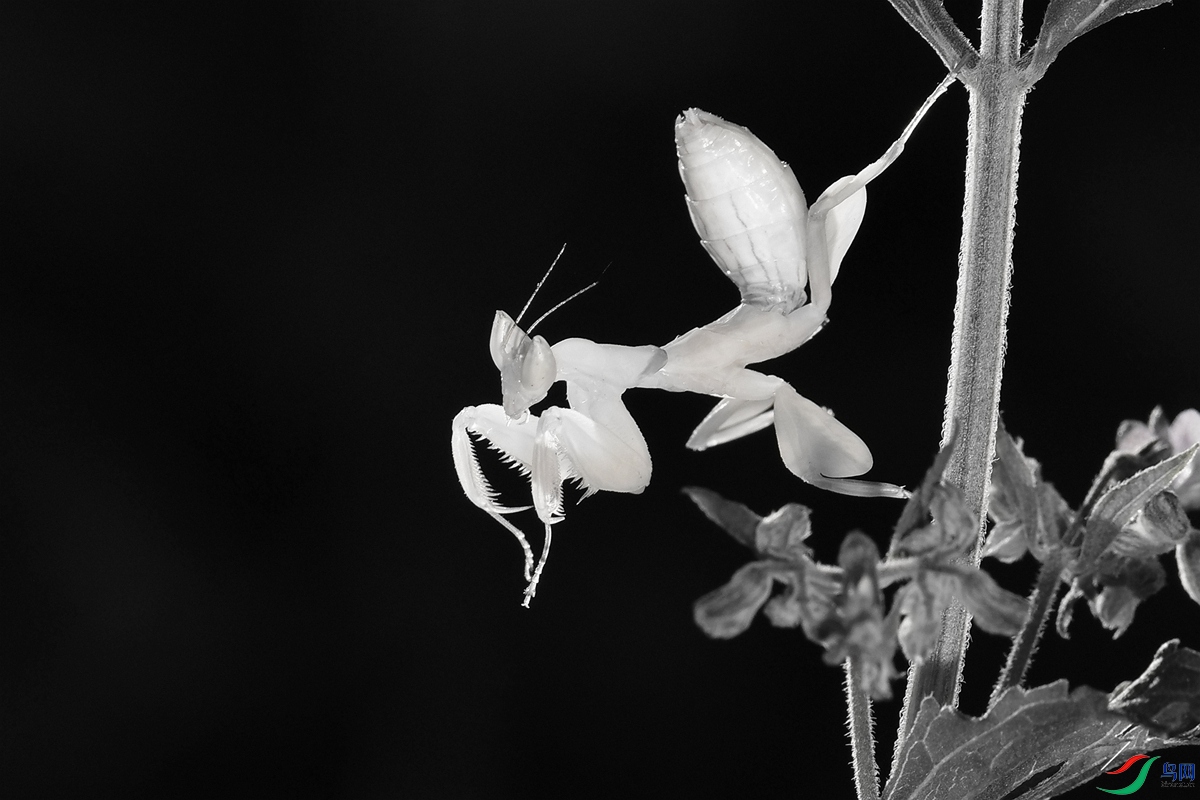 DSC_6755_����.jpg