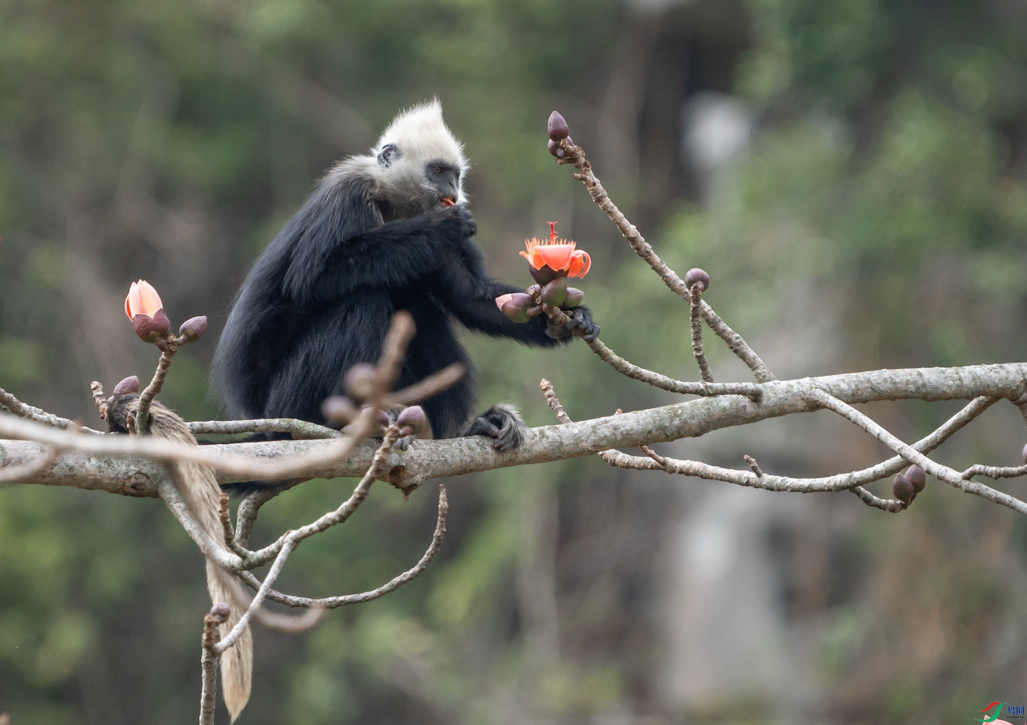 DSC02394 ����22.jpg