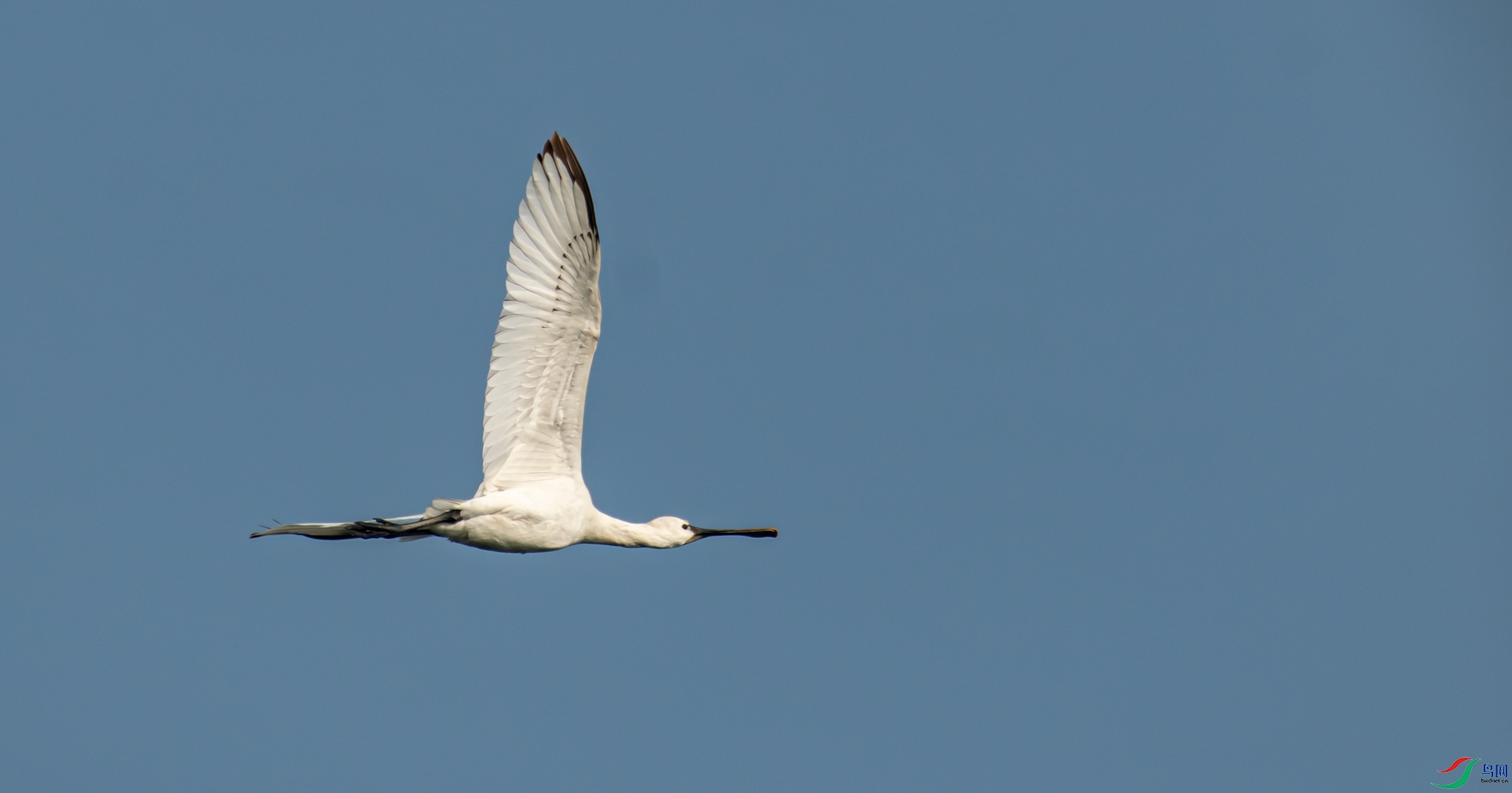 DSC_8314.jpg