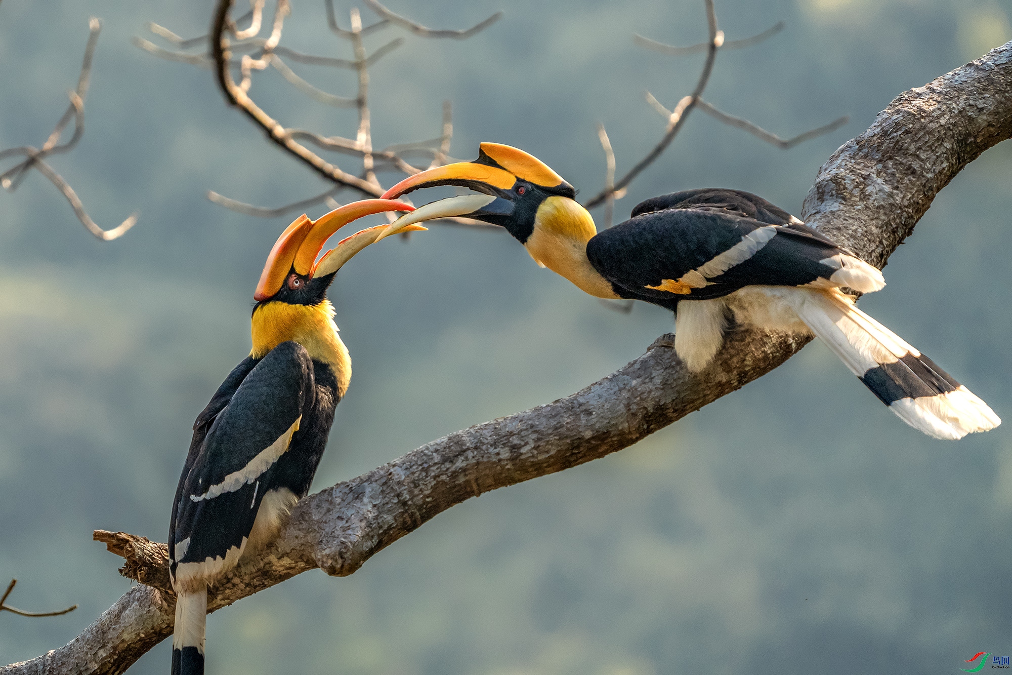 DSC07702 ����a222.jpg