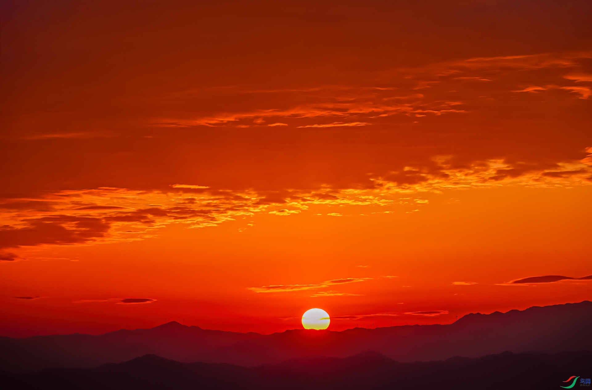 _DSC4513-11.jpg