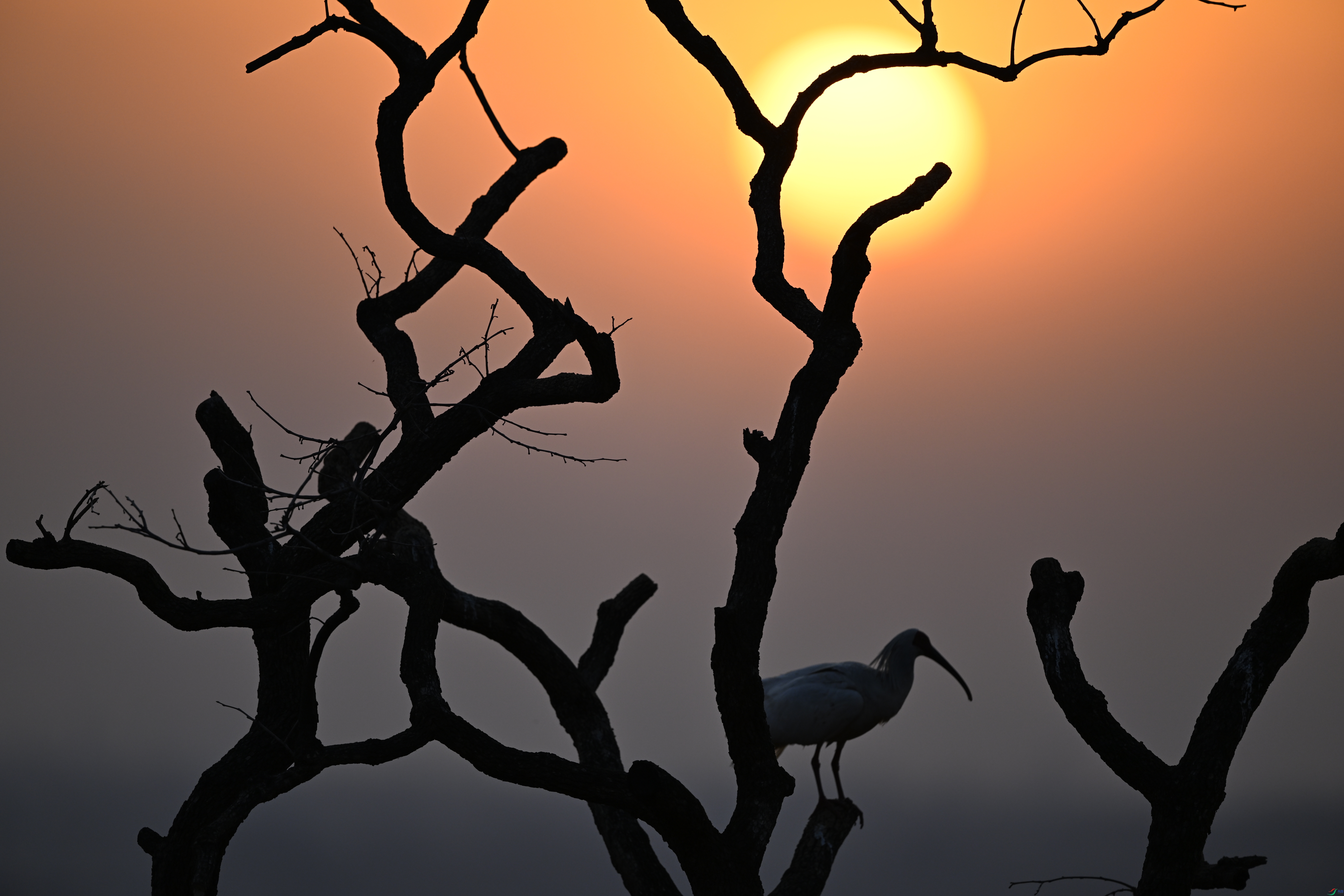 ���������q