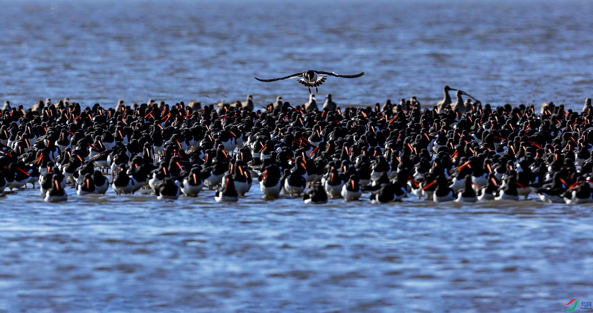 089A4814_��ͼ��_��ͼ��_��ͼ�� ����a_��ͼ��.jpg