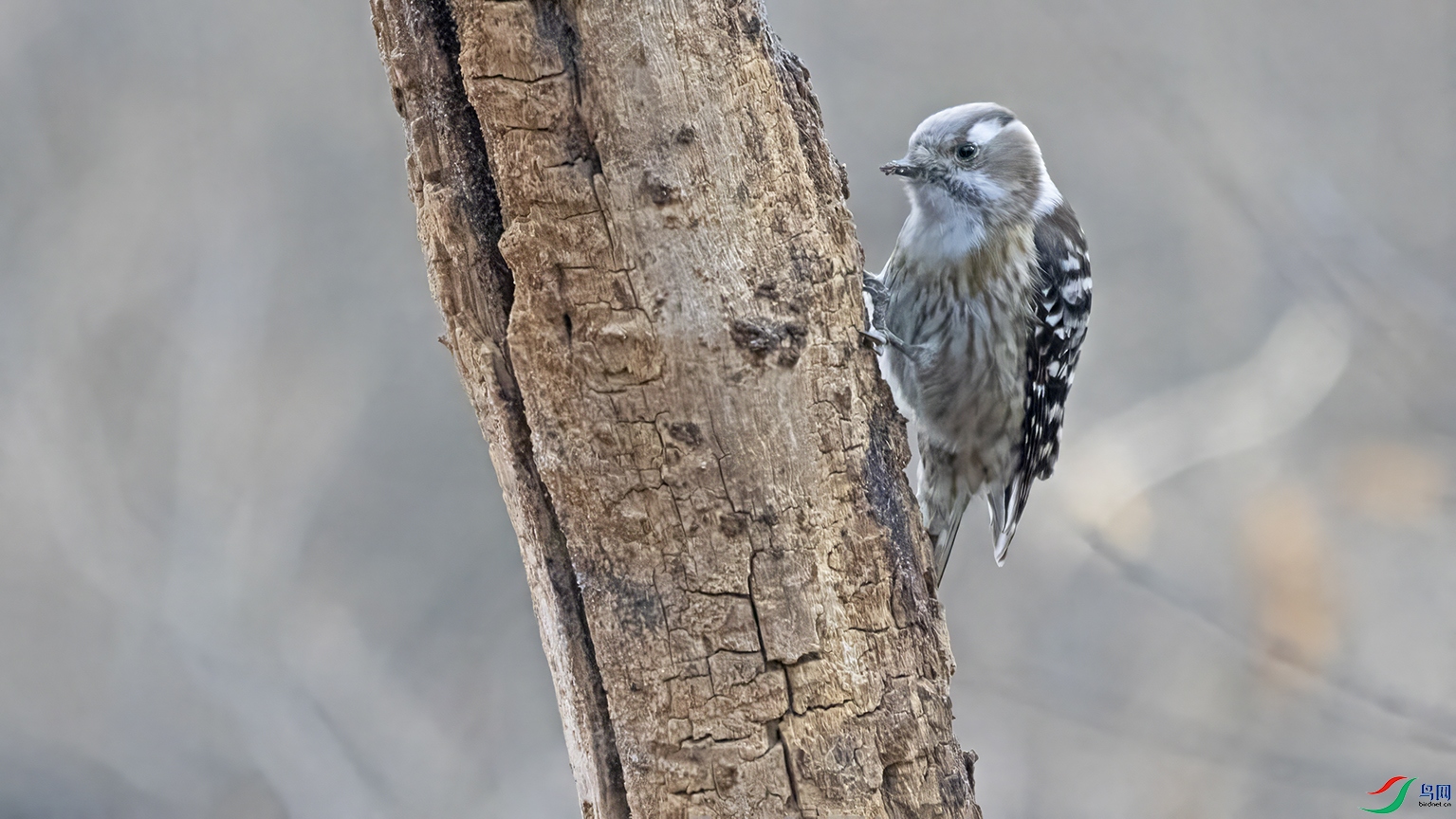 3U2A7686 ���� 2.jpg