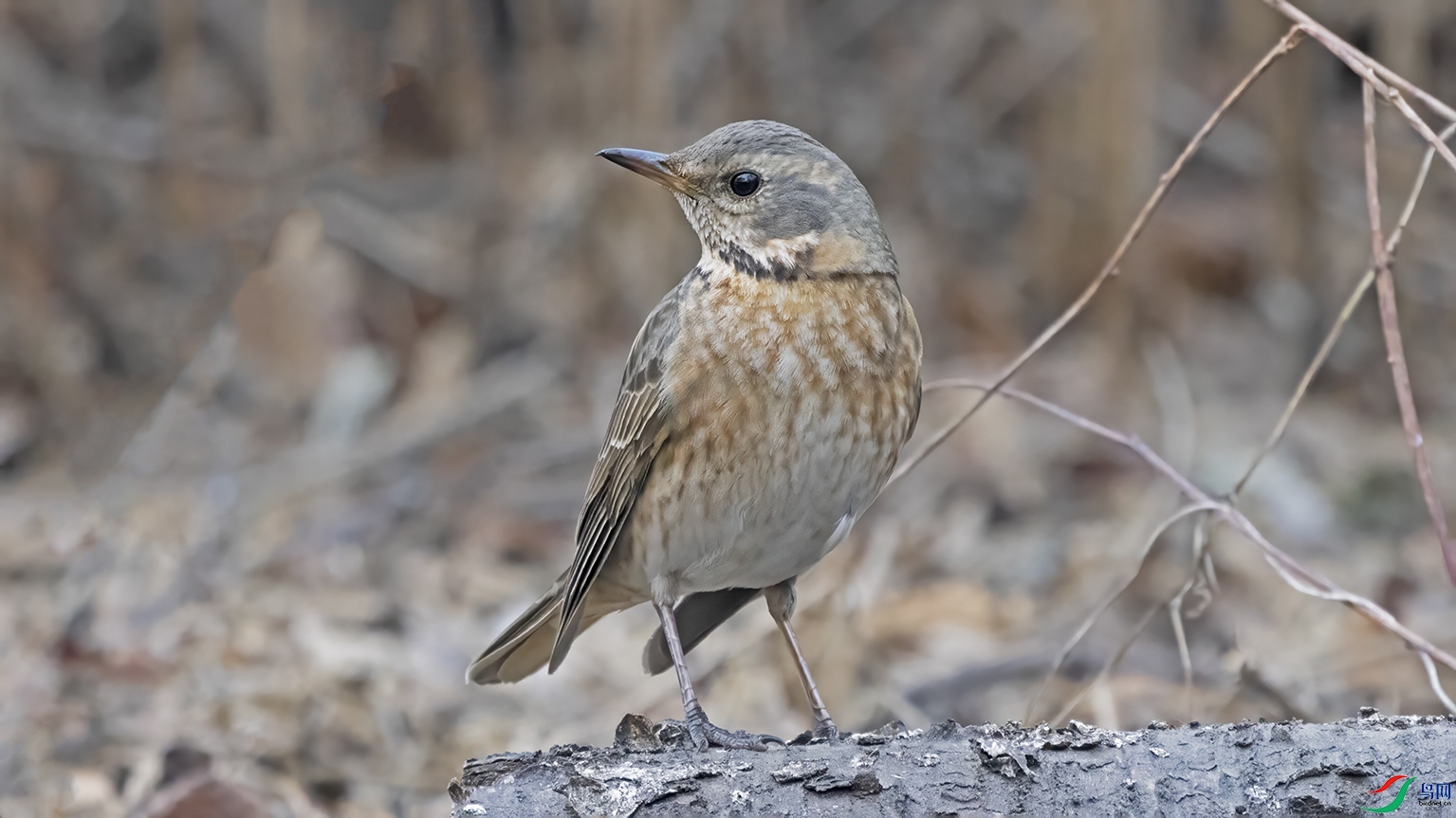 3U2A7815 ���� 2.jpg