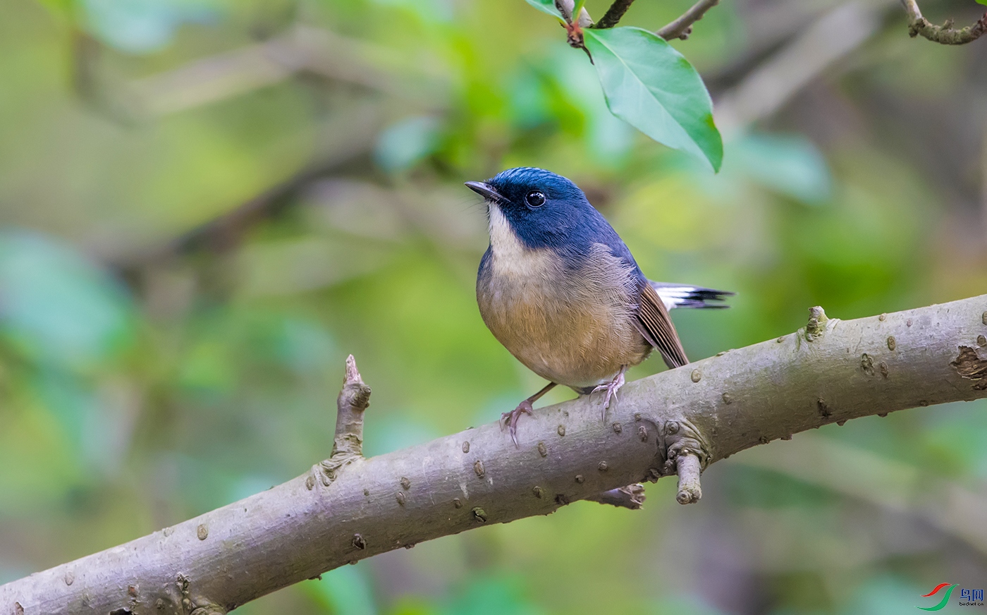 DSC_13521.jpg