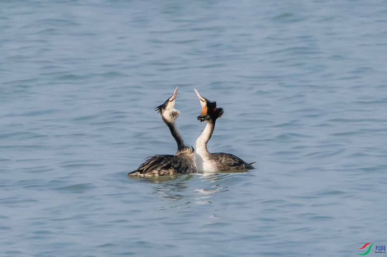 DSC_0119_.jpg