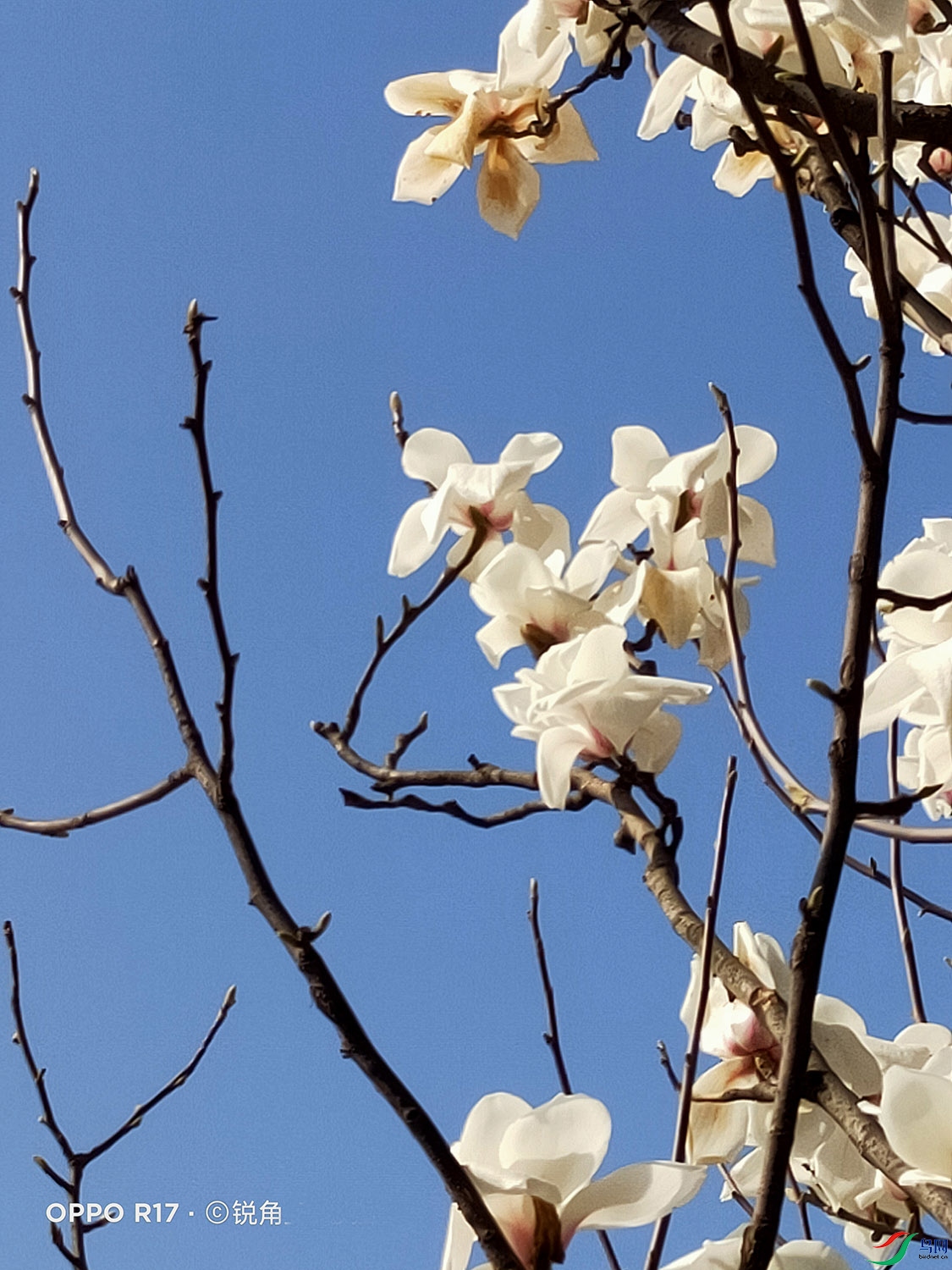 4 - ����.jpg