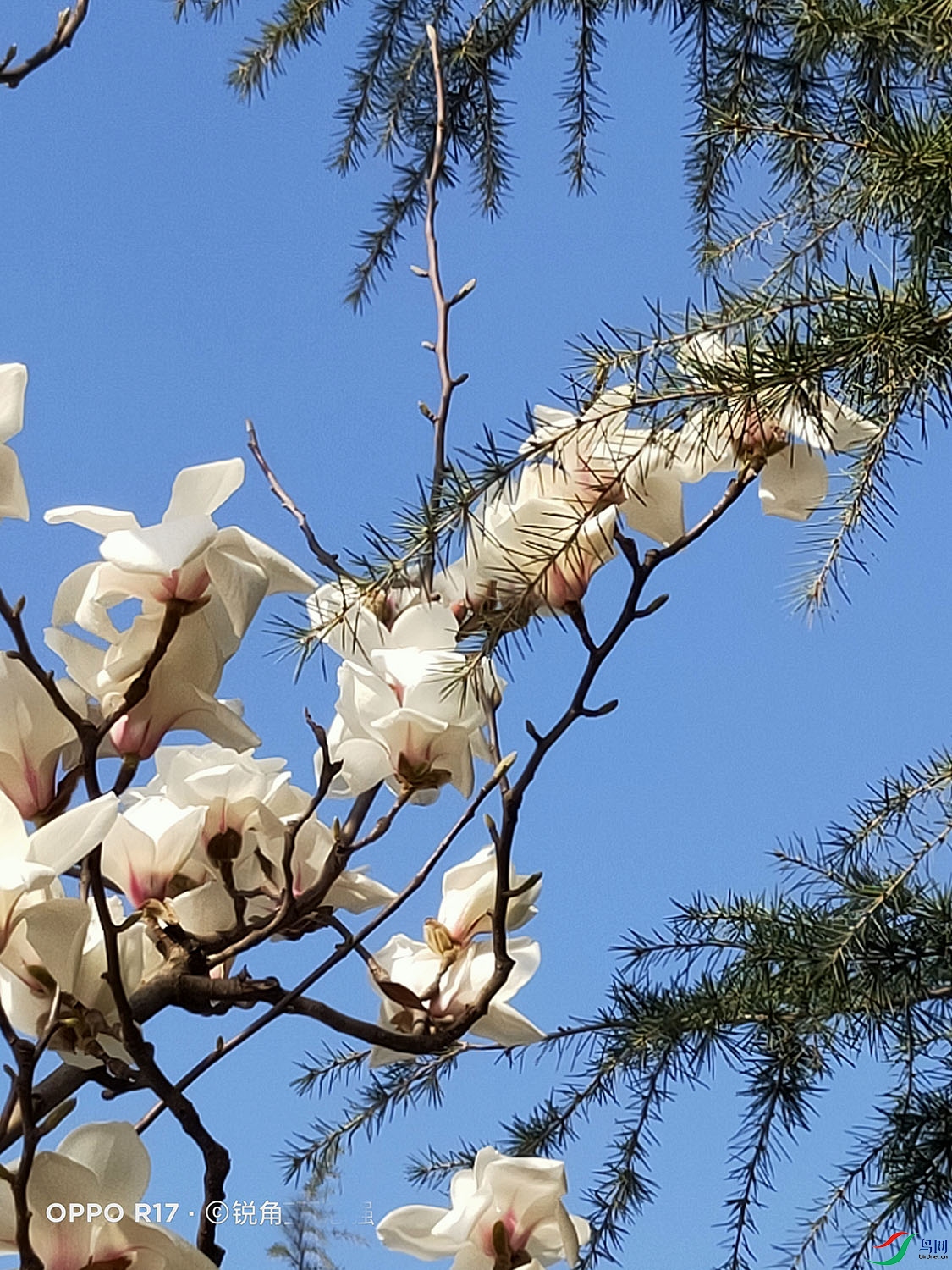 3 - ����.jpg