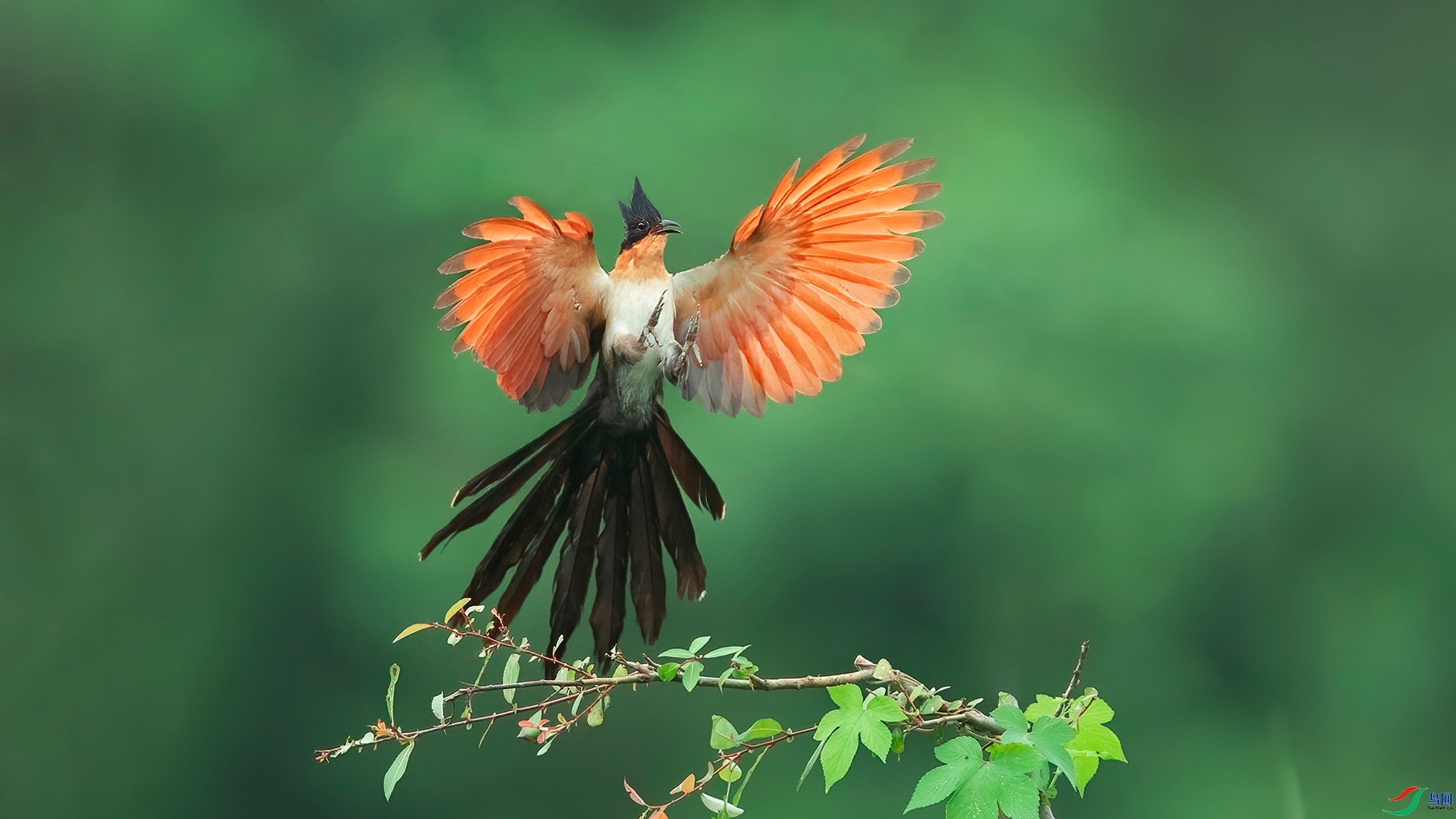 3.17��������ʦ��Ʒ   ����չ����ף���ٻ����Ѿ�����.jpg