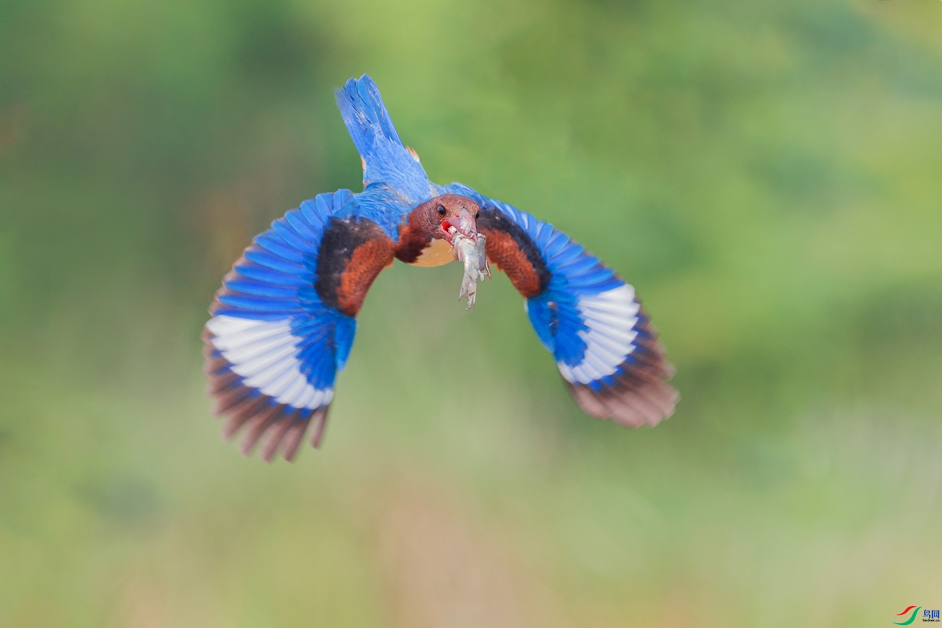 3.18��������ʦ��Ʒ   ������䣨ף���ٻ����Ѿ�����.jpg