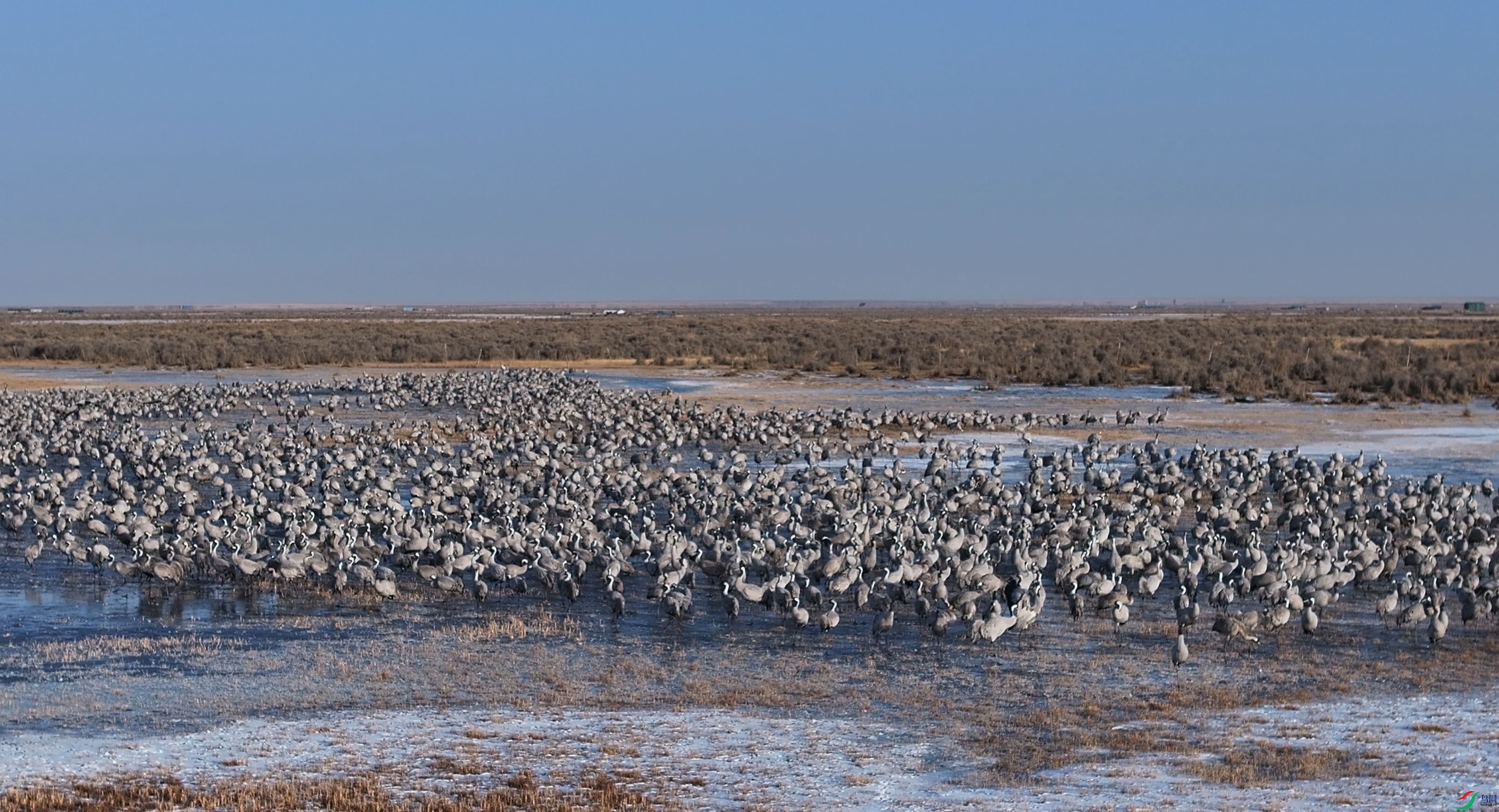 �Һ�Ⱥ��02_D ����.jpg