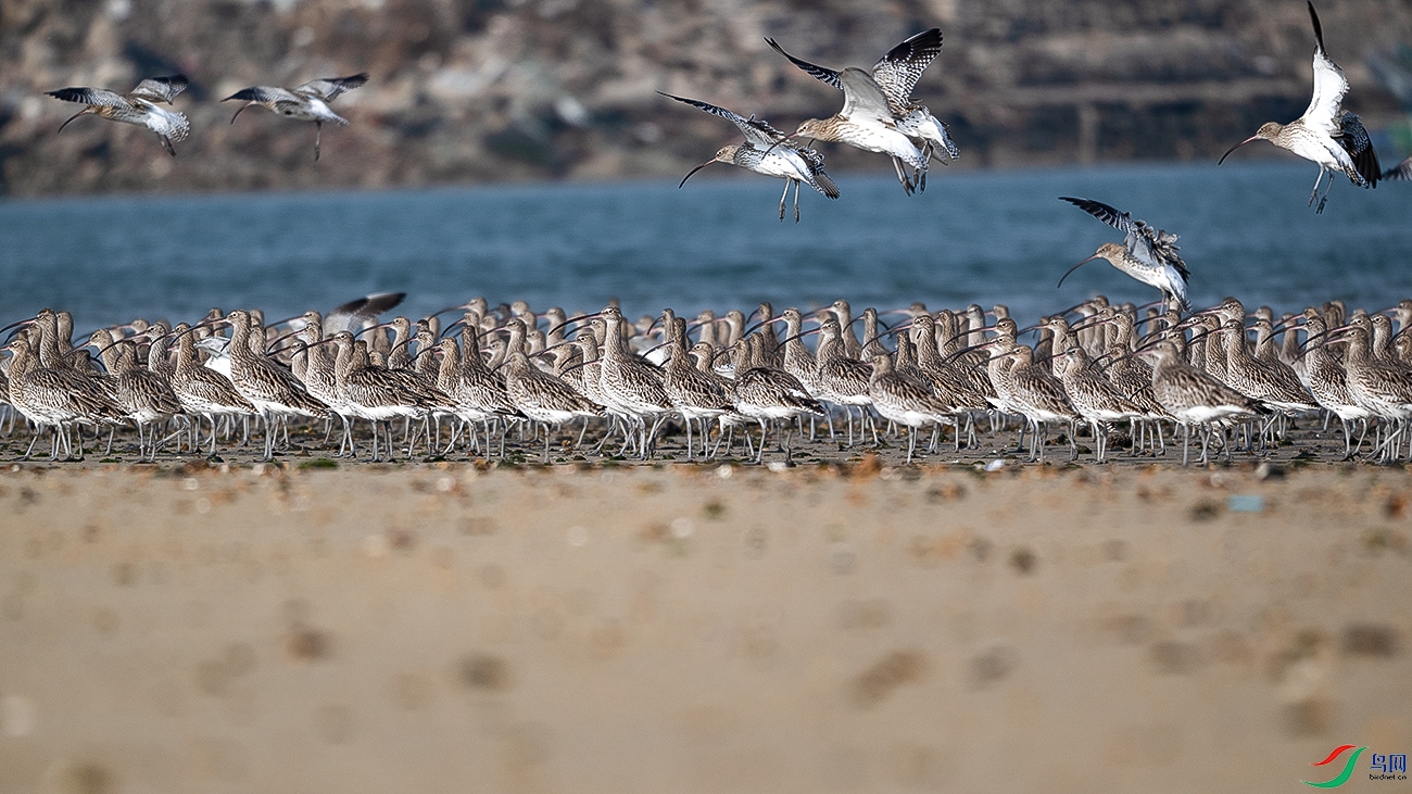 DSC_0640-.jpg