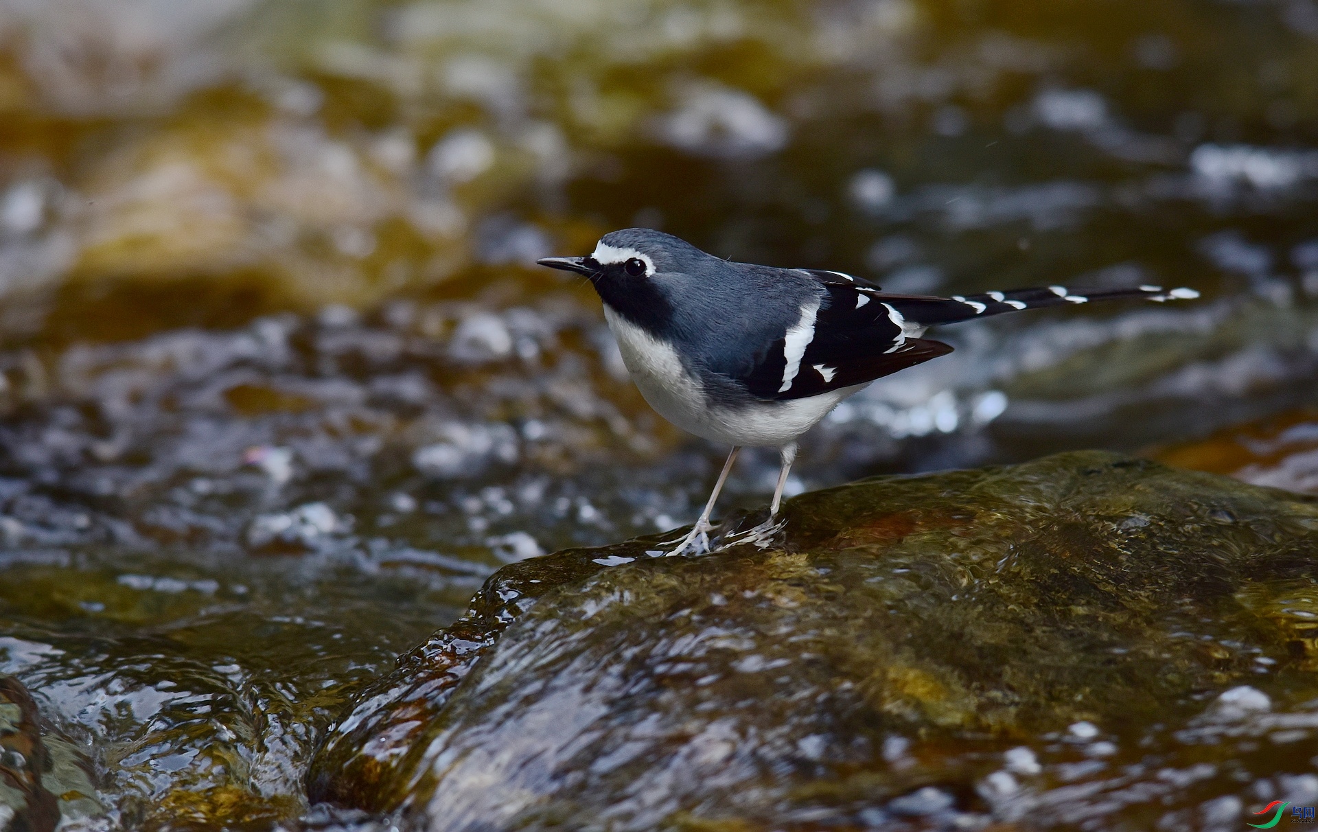 D8I_2450.jpg