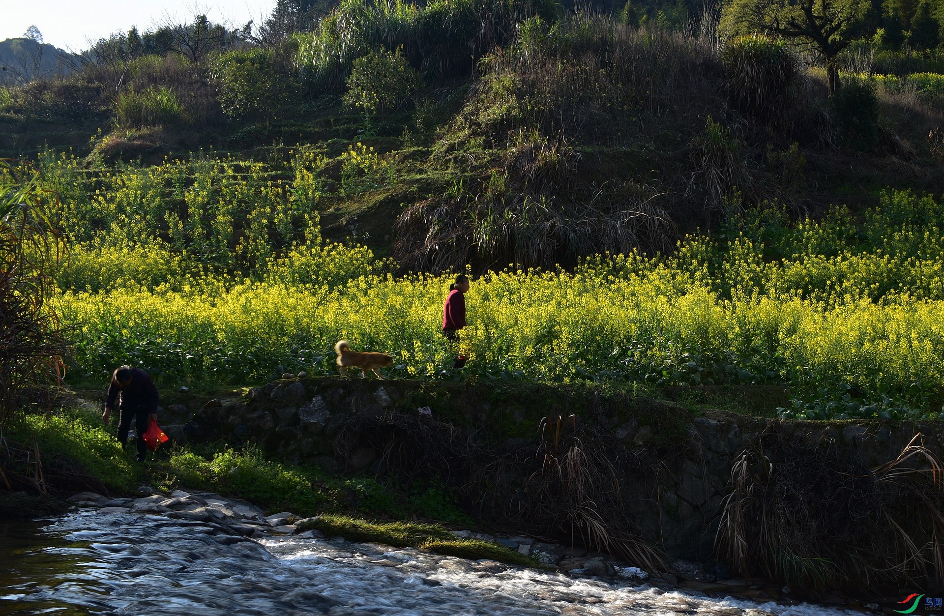 D8I_2072.jpg