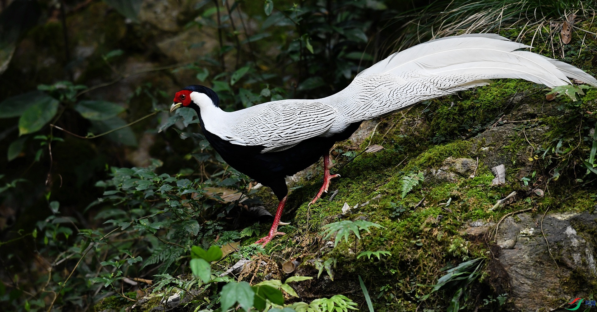 DSC_5953.jpg