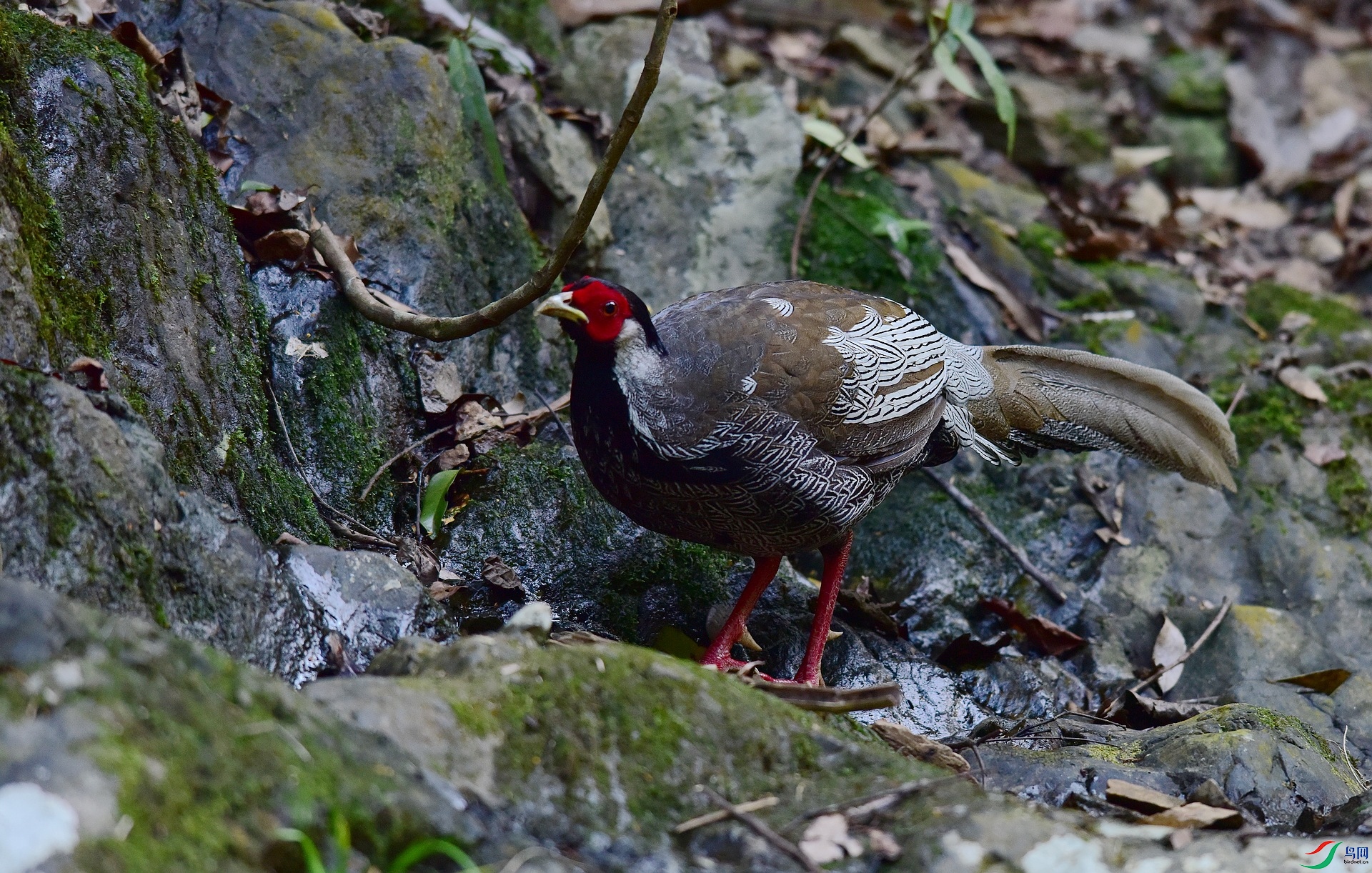 D8I_2890.jpg