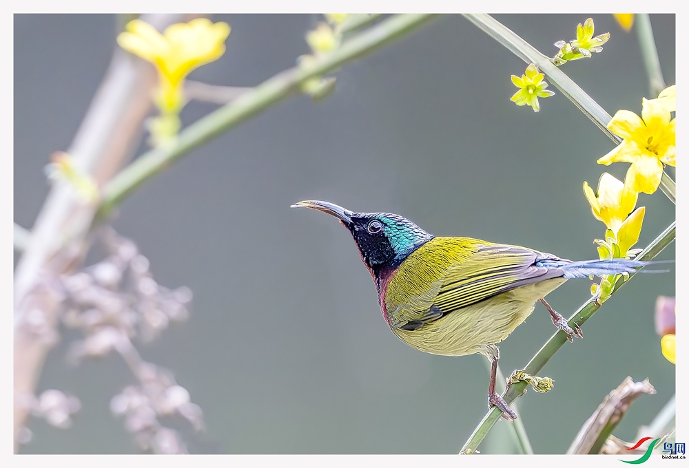 _DSC2474-����ǿ-NR ����.jpg