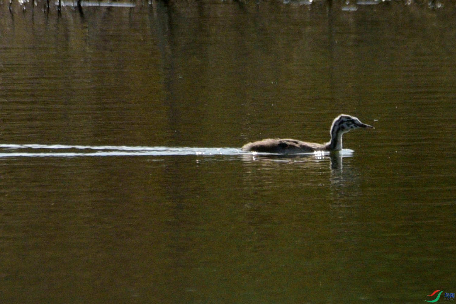 DSC_7190.JPG